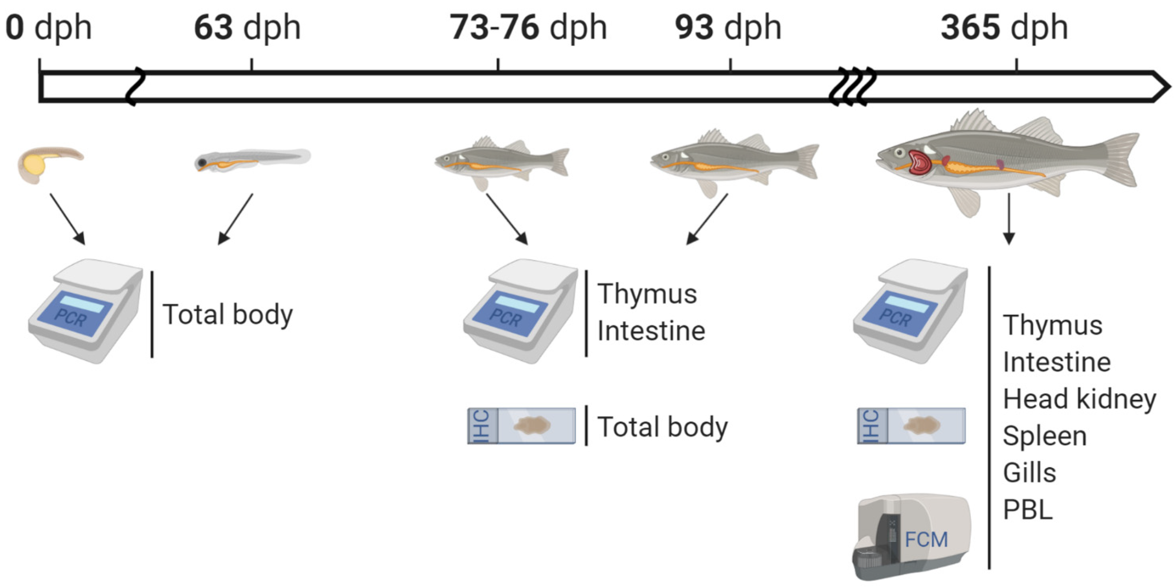 Ijms 22 03376 g006 Ijms 22 03376 g006