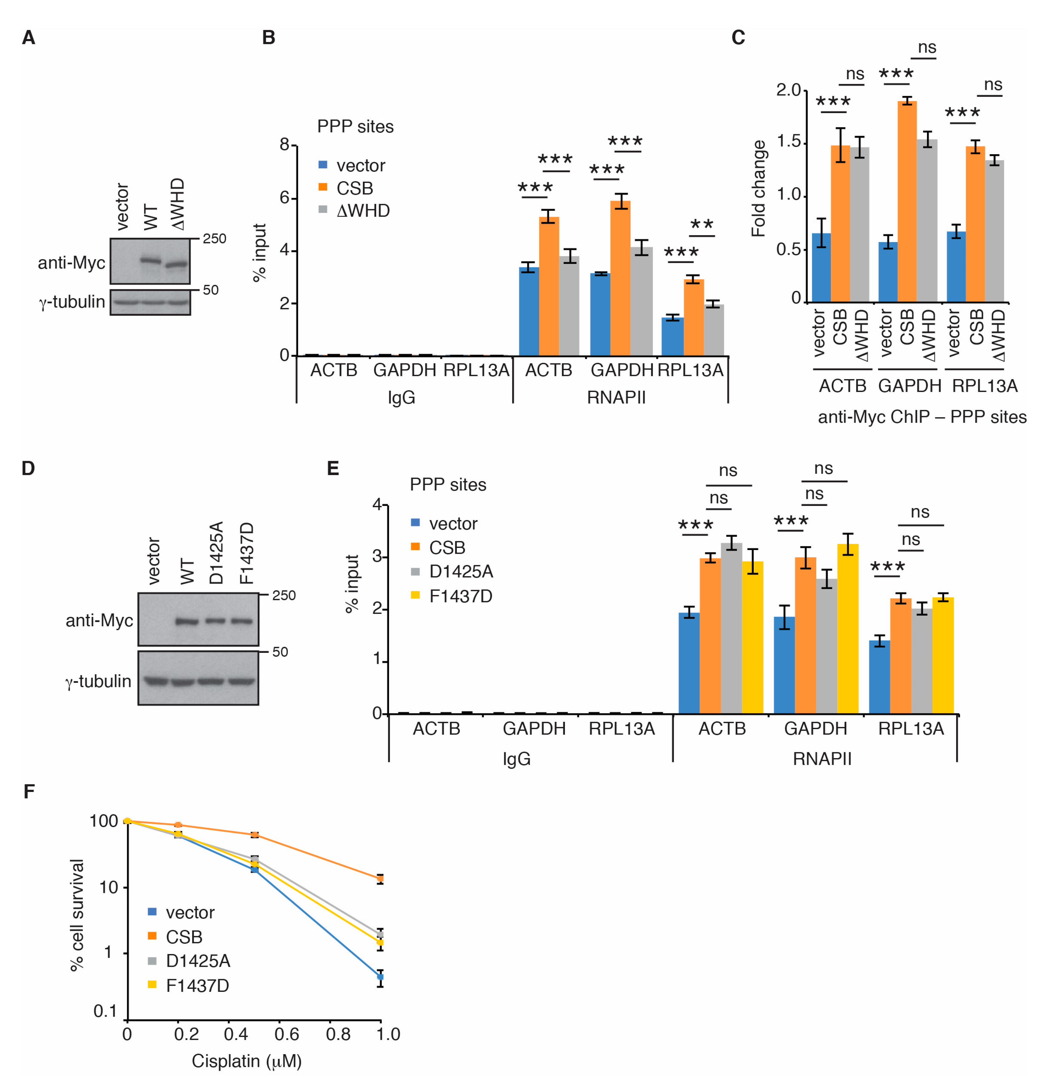 Ijms 22 03379 g003 Ijms 22 03379 g003