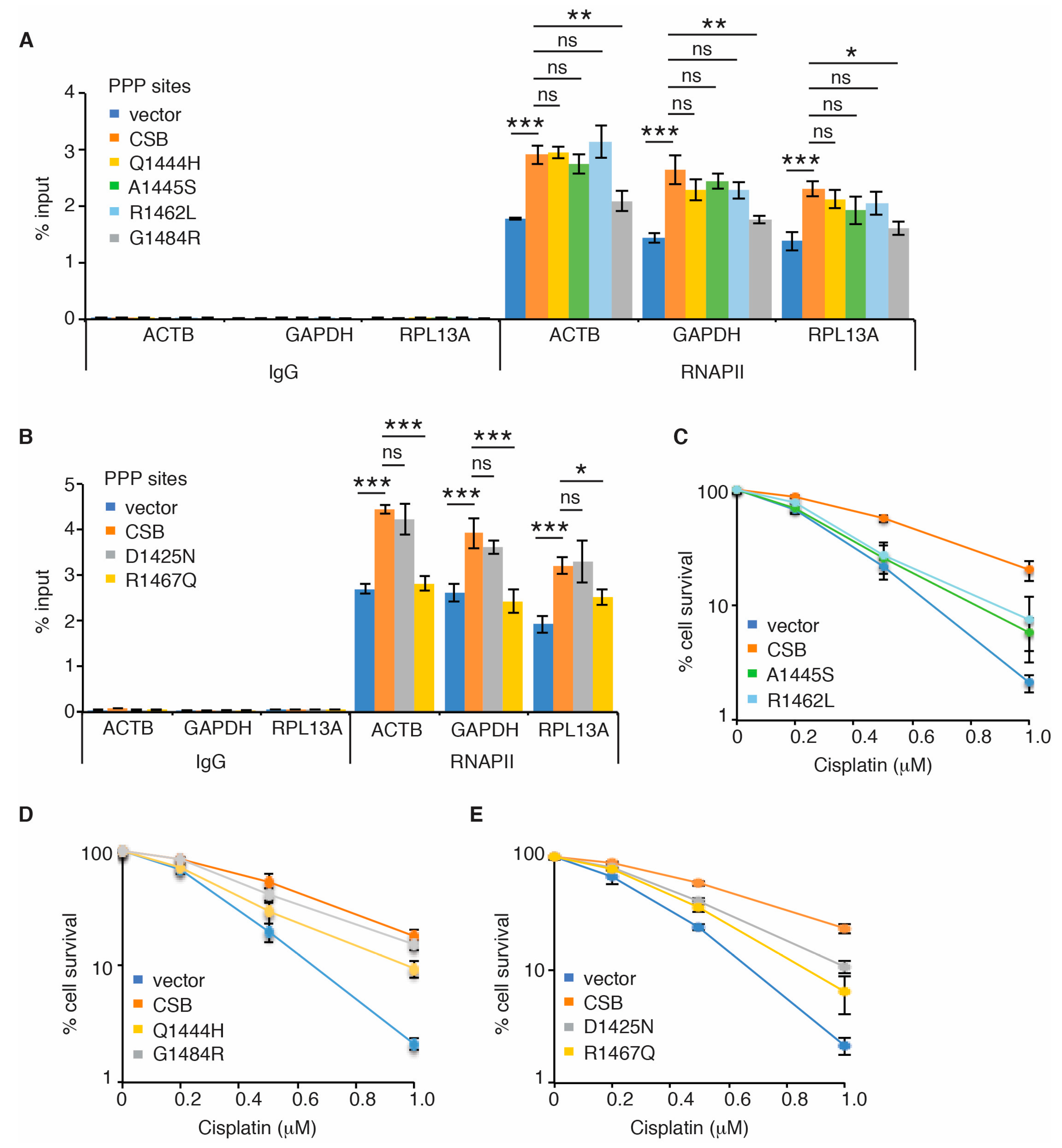 Ijms 22 03379 g005 Ijms 22 03379 g005