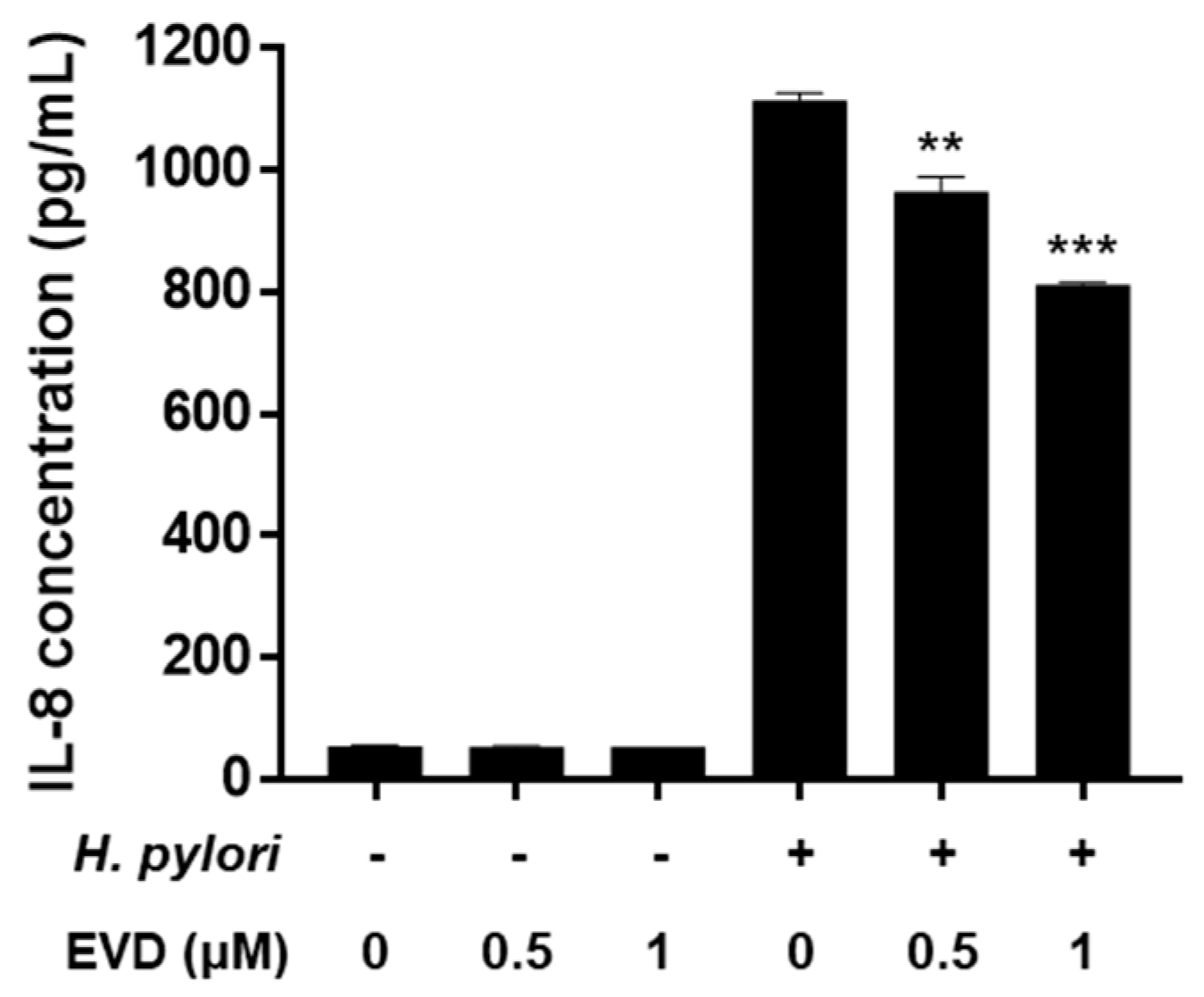 Ijms 22 03385 g005 Ijms 22 03385 g005