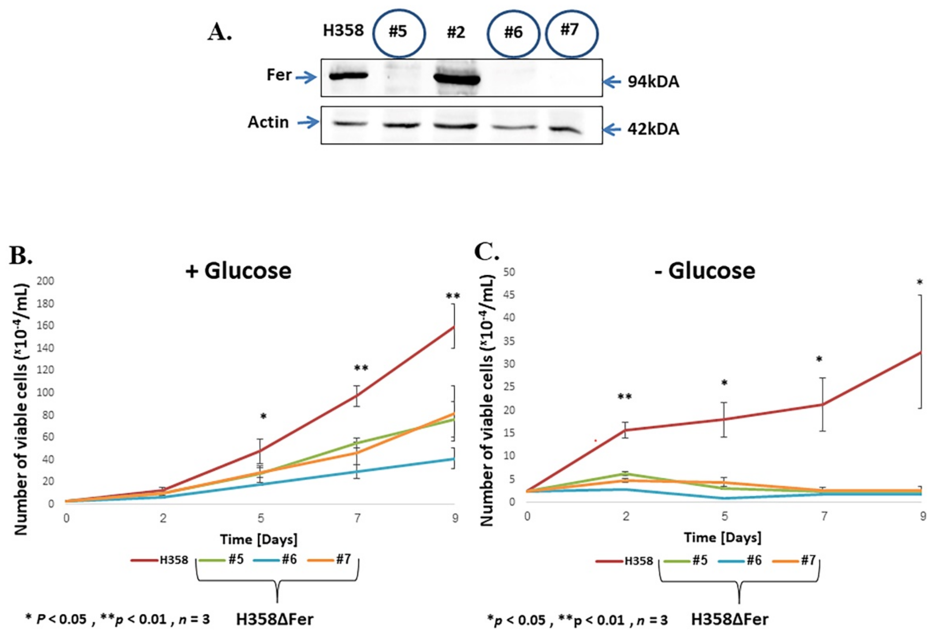 Ijms 22 03387 g001a Ijms 22 03387 g001a