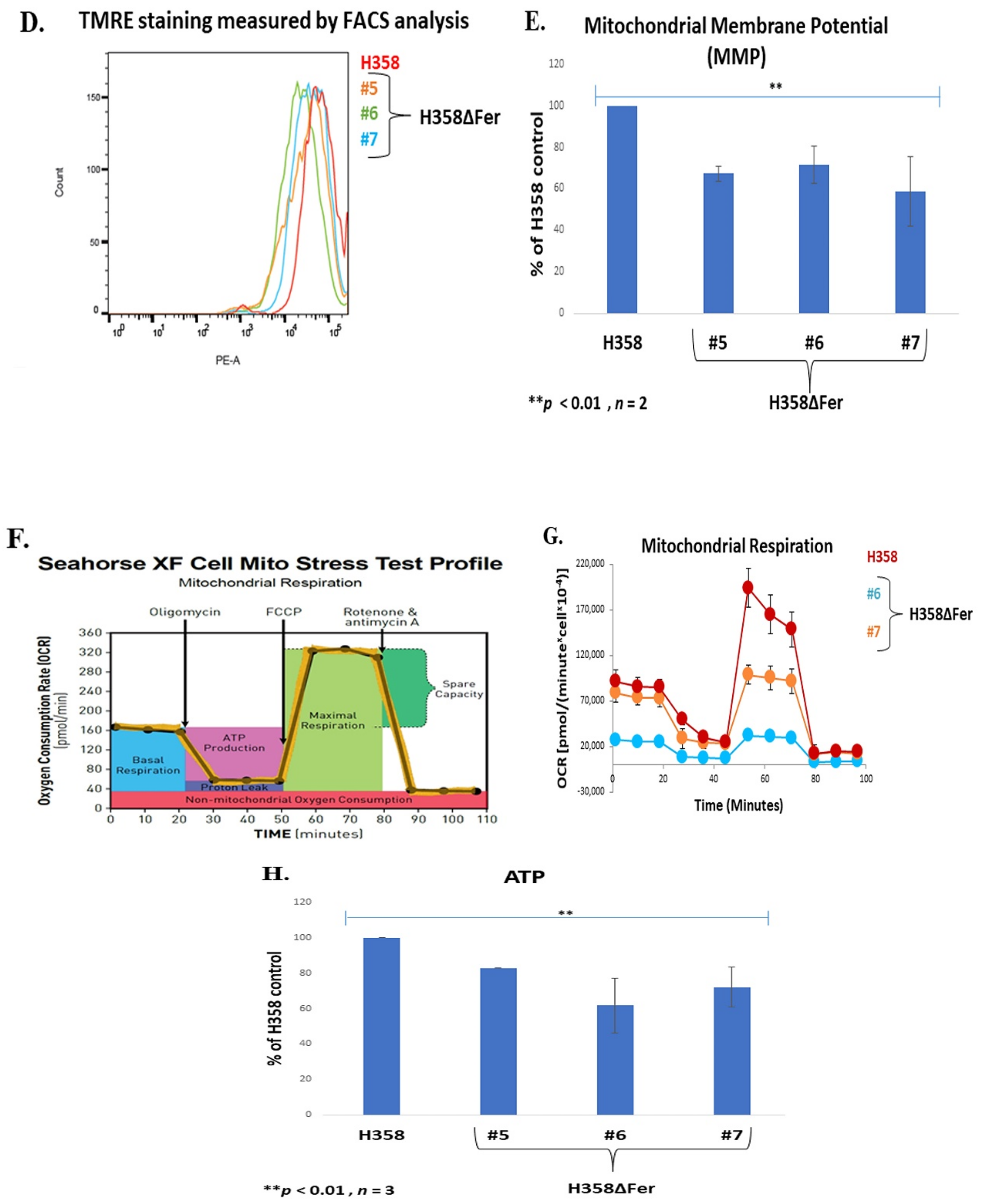 Ijms 22 03387 g003b Ijms 22 03387 g003b