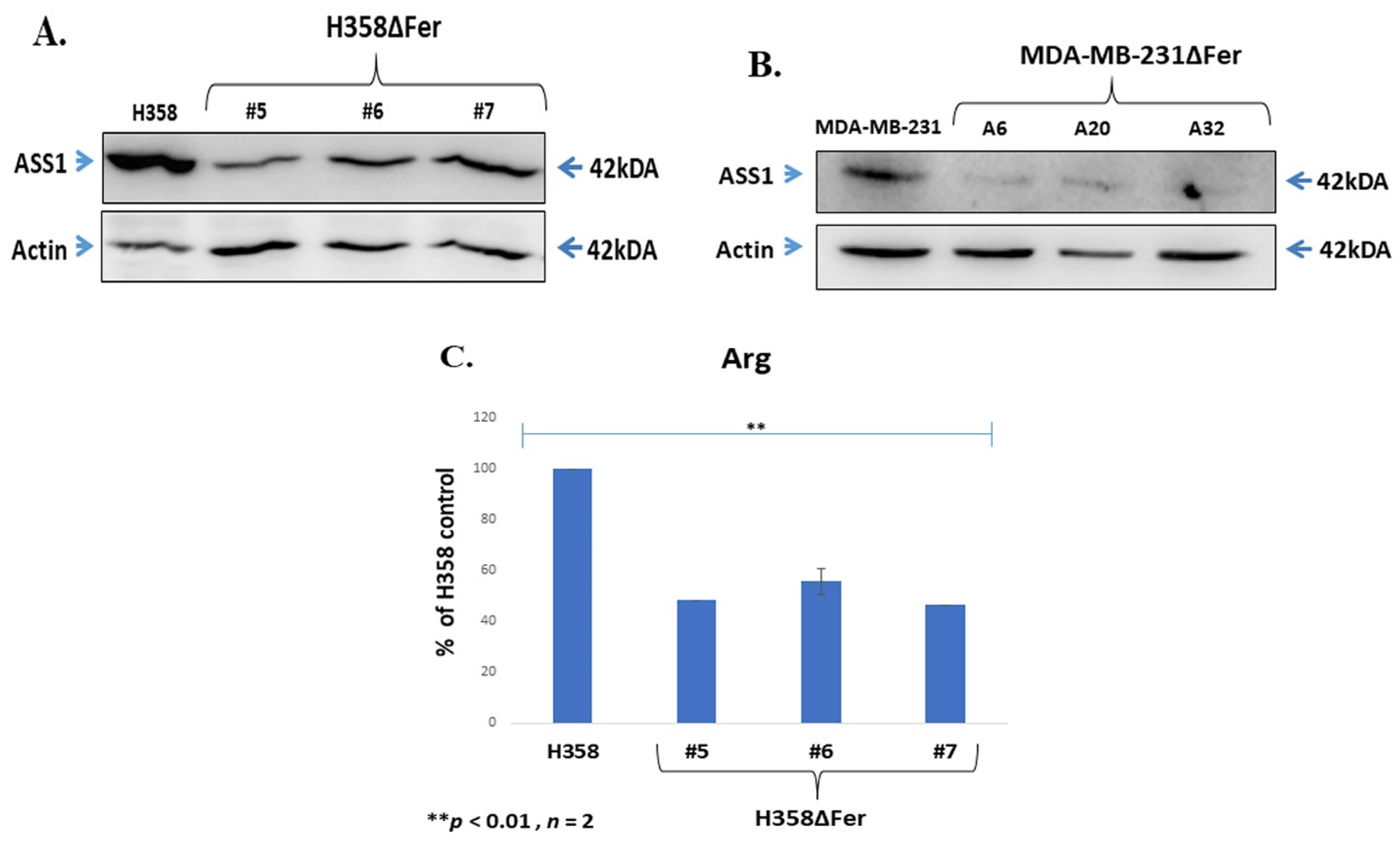 Ijms 22 03387 g006a Ijms 22 03387 g006a