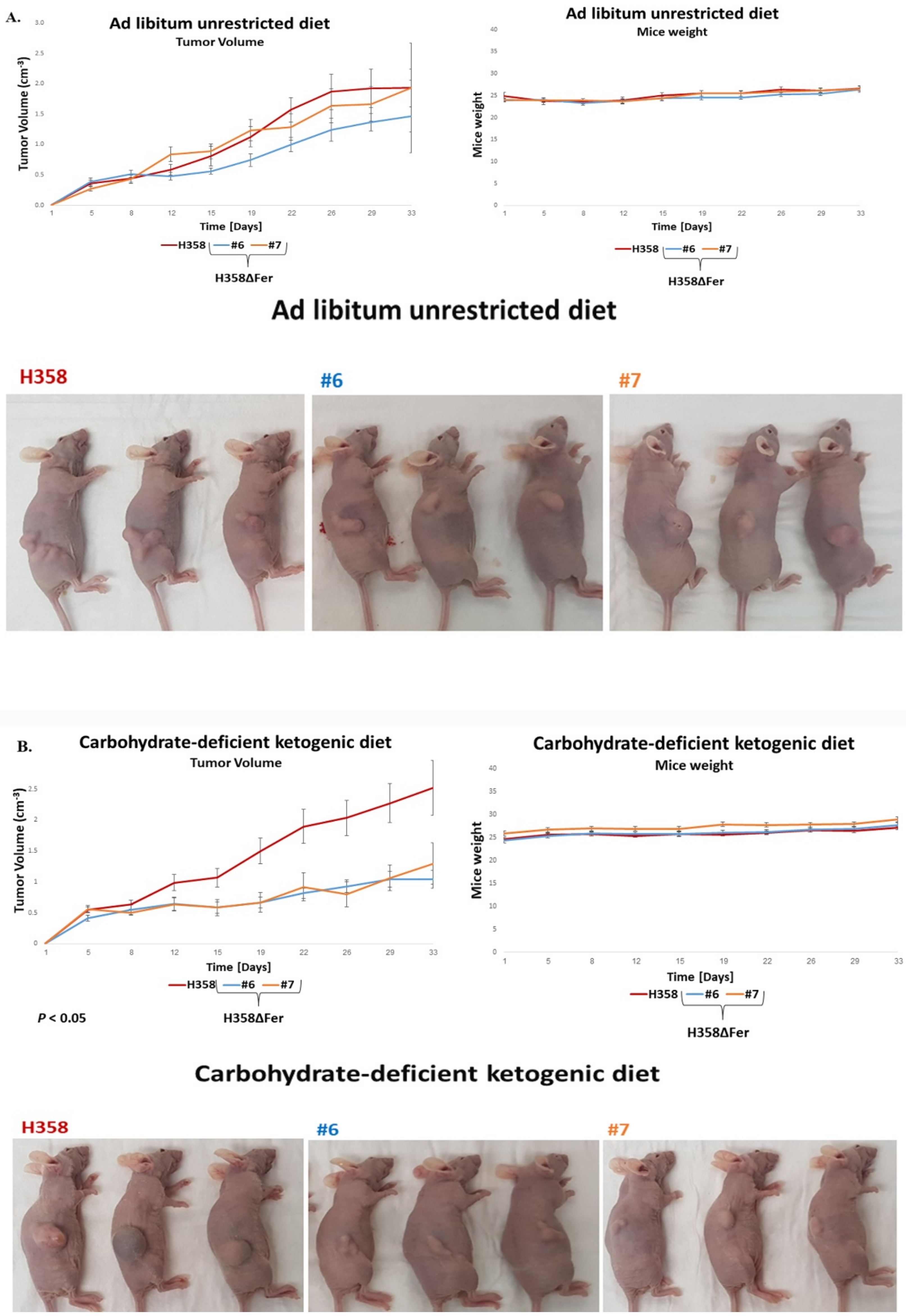 Ijms 22 03387 g007a Ijms 22 03387 g007a