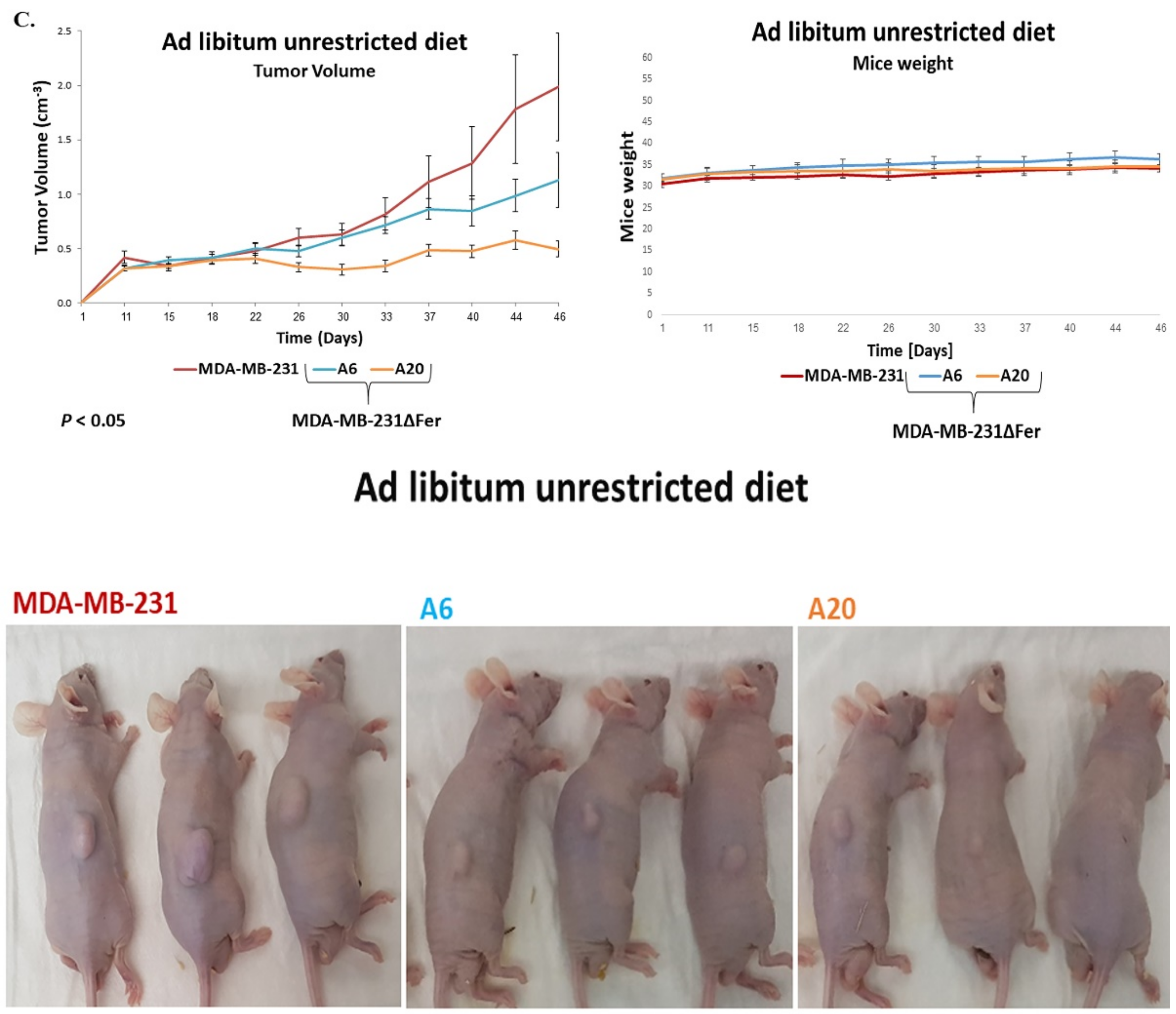 Ijms 22 03387 g007b Ijms 22 03387 g007b