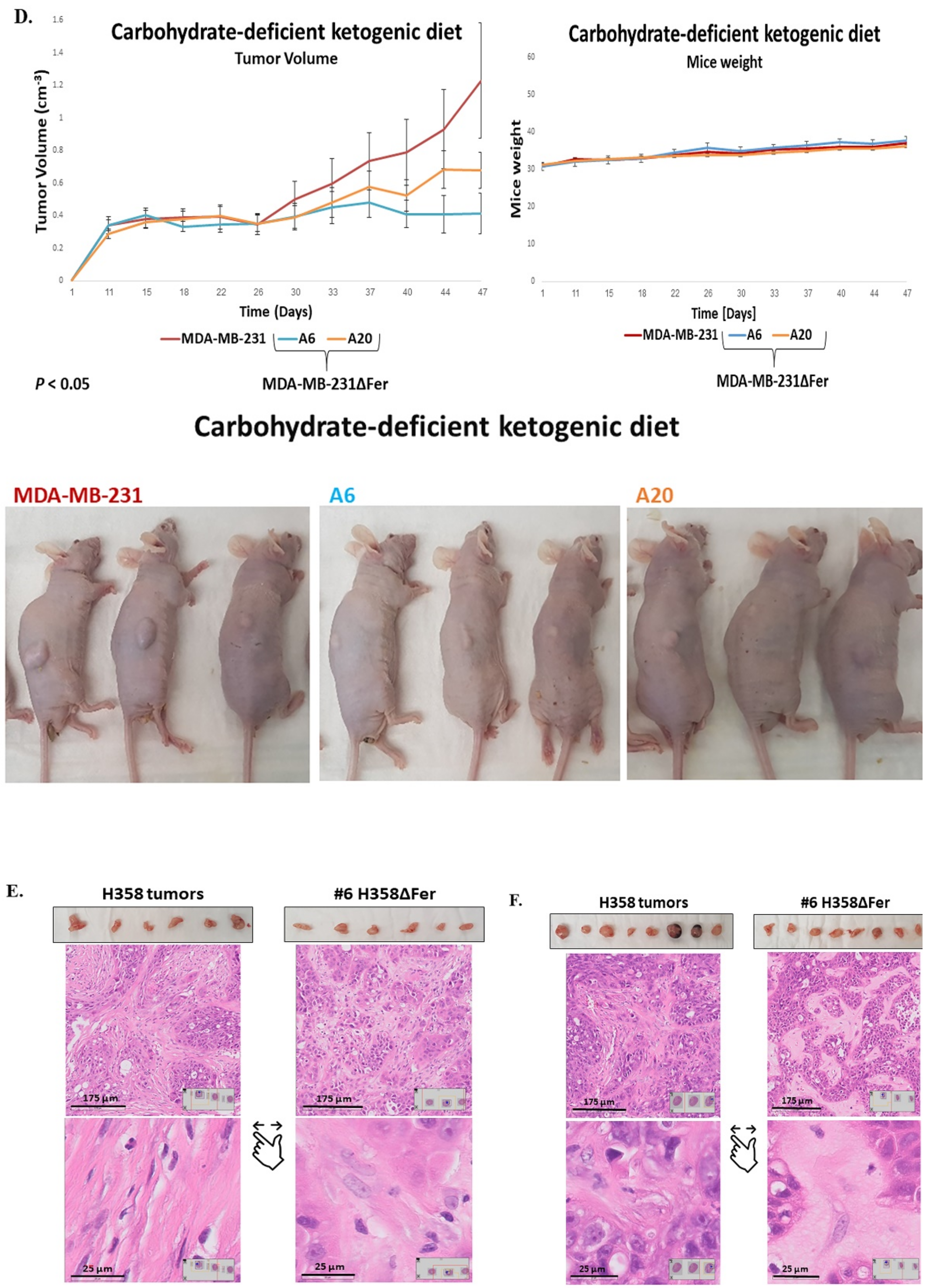 Ijms 22 03387 g007c Ijms 22 03387 g007c