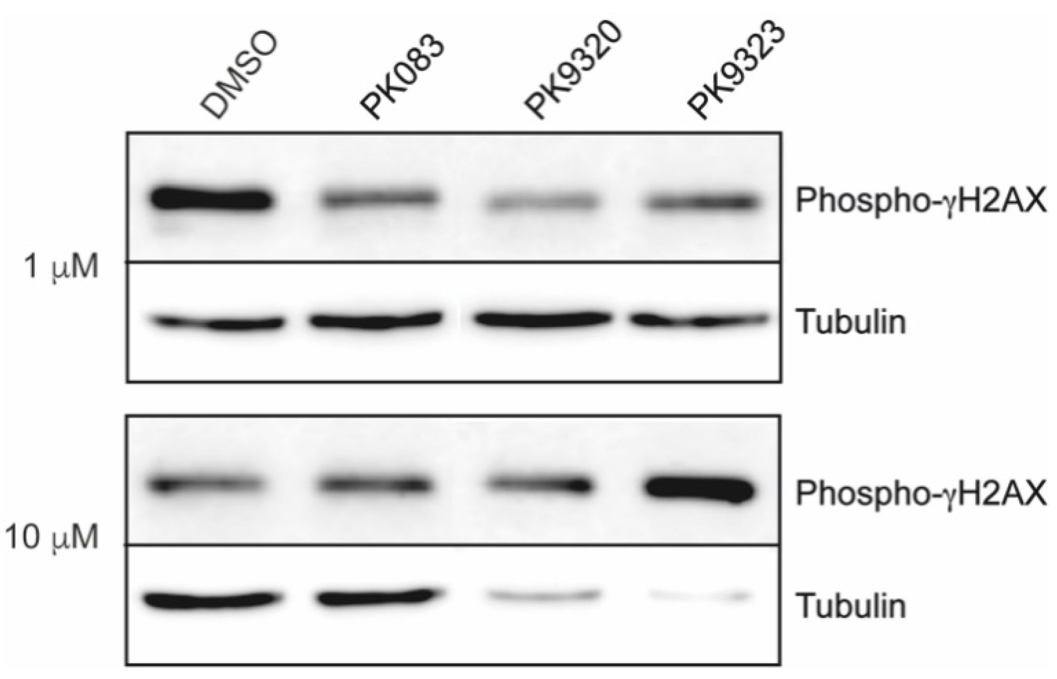 Ijms 22 03410 g002 Ijms 22 03410 g002