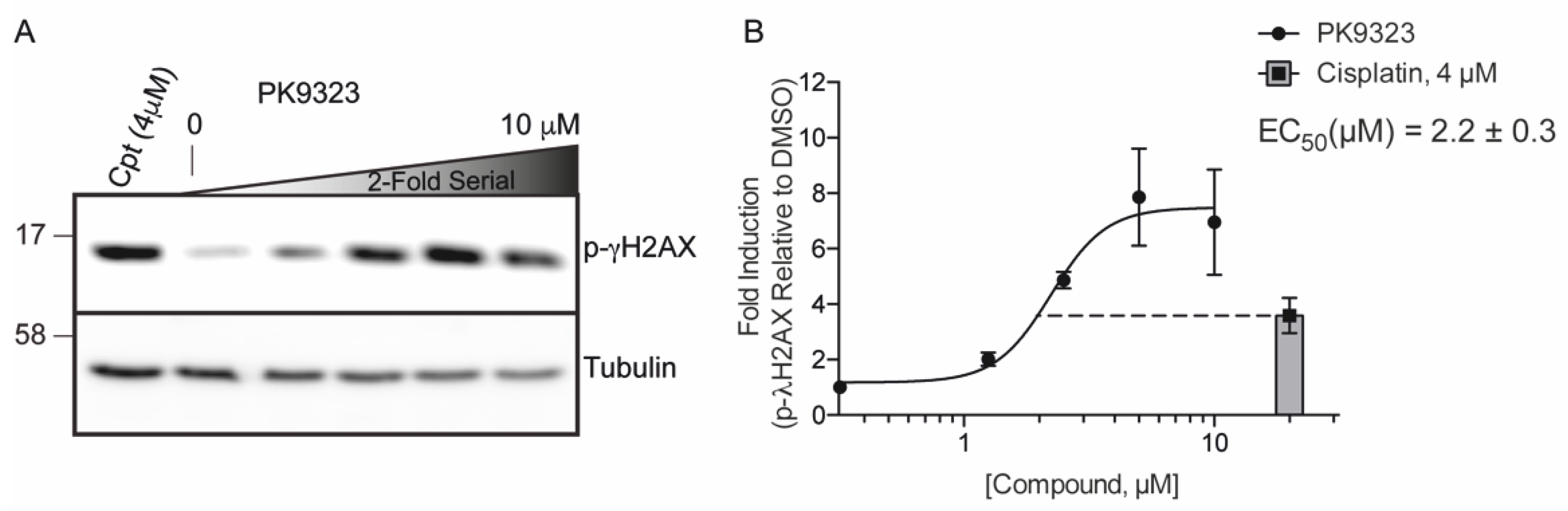 Ijms 22 03410 g003 Ijms 22 03410 g003