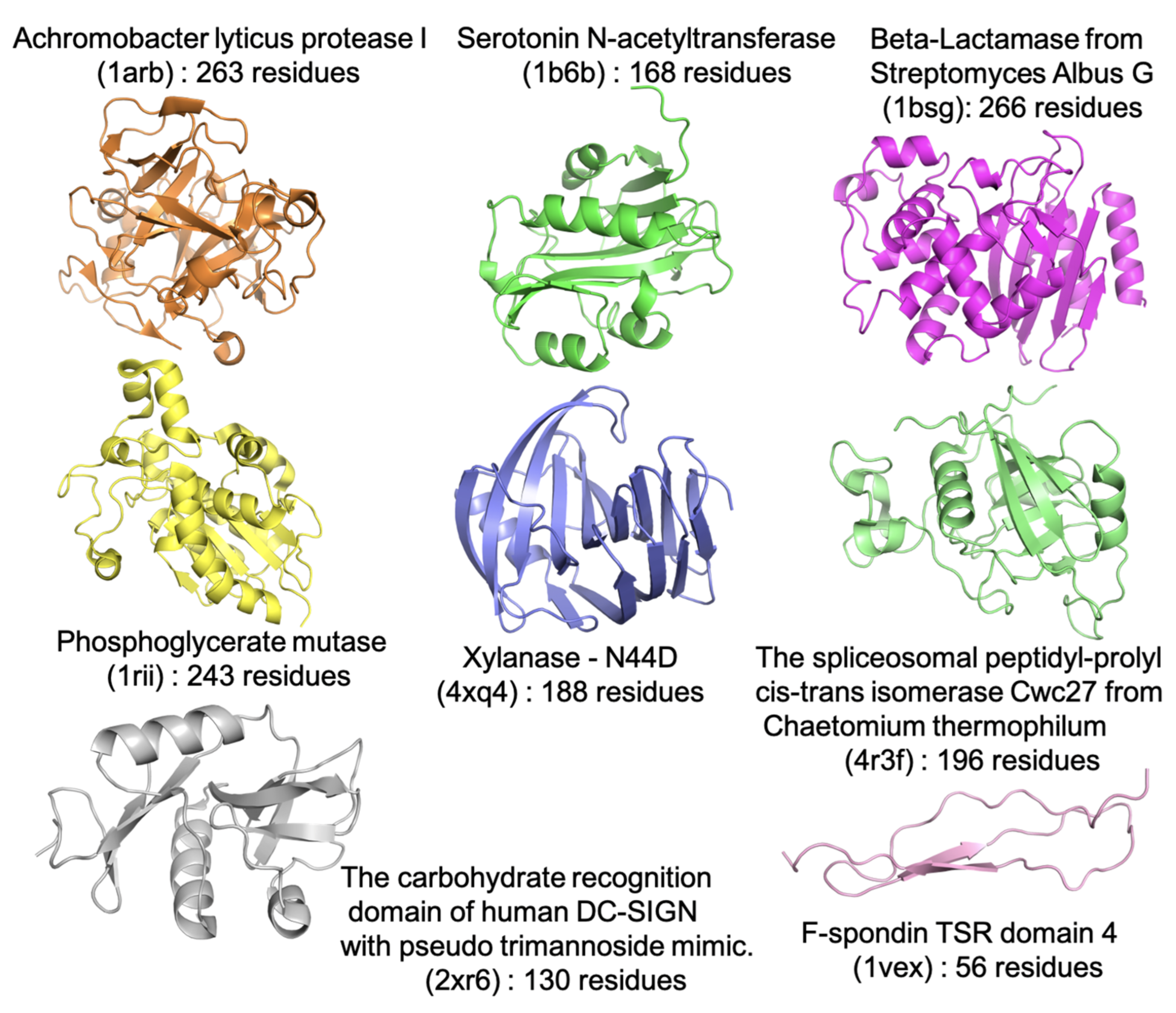 Ijms 22 03420 g001 Ijms 22 03420 g001
