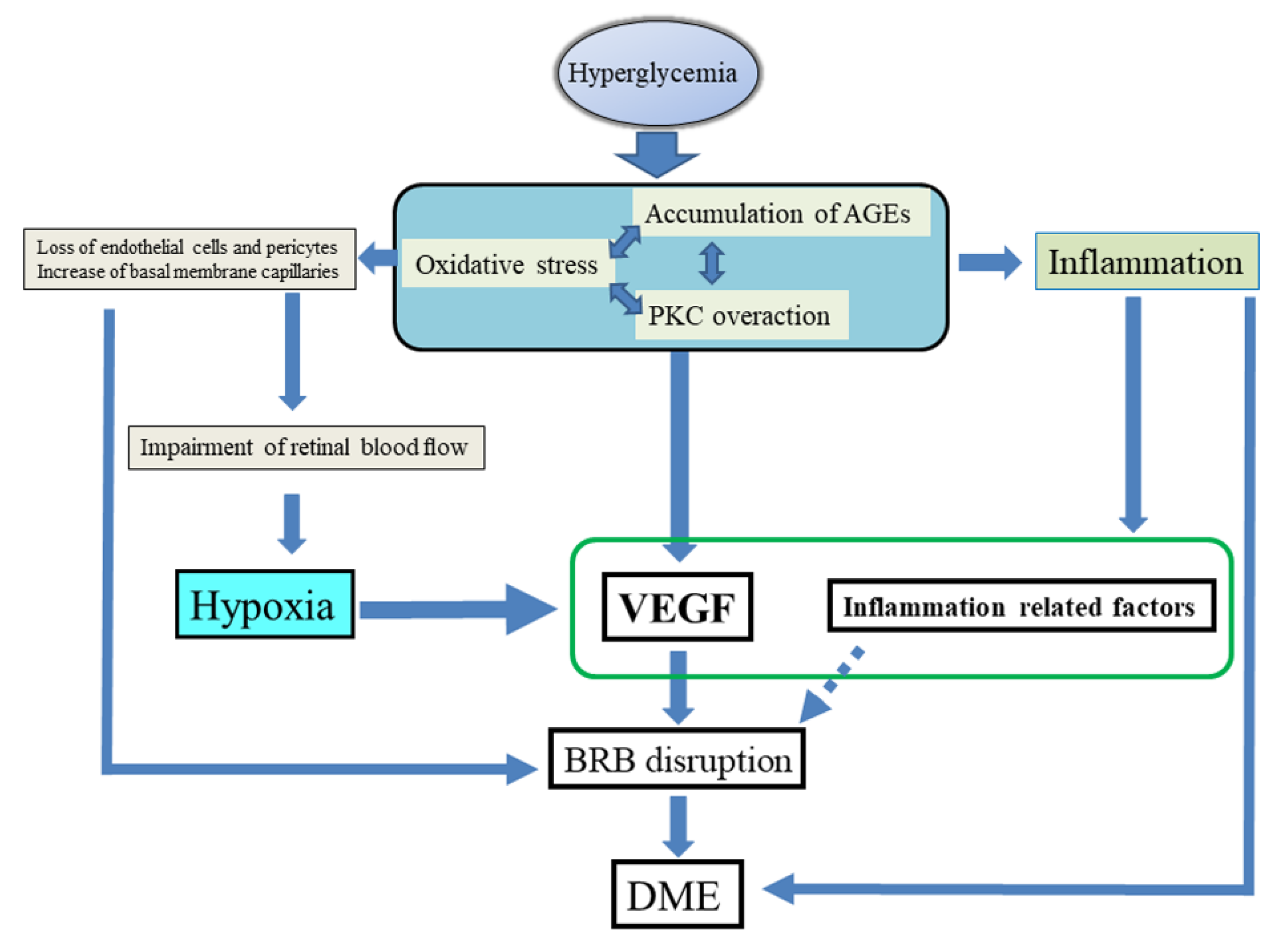 Ijms 22 03427 g003 Ijms 22 03427 g003