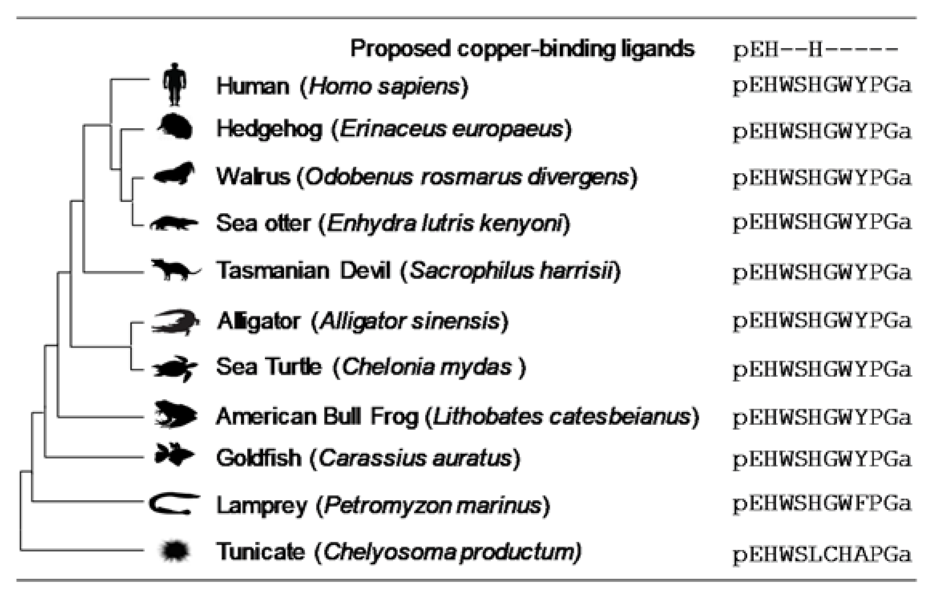 Ijms 22 03431 g001 550