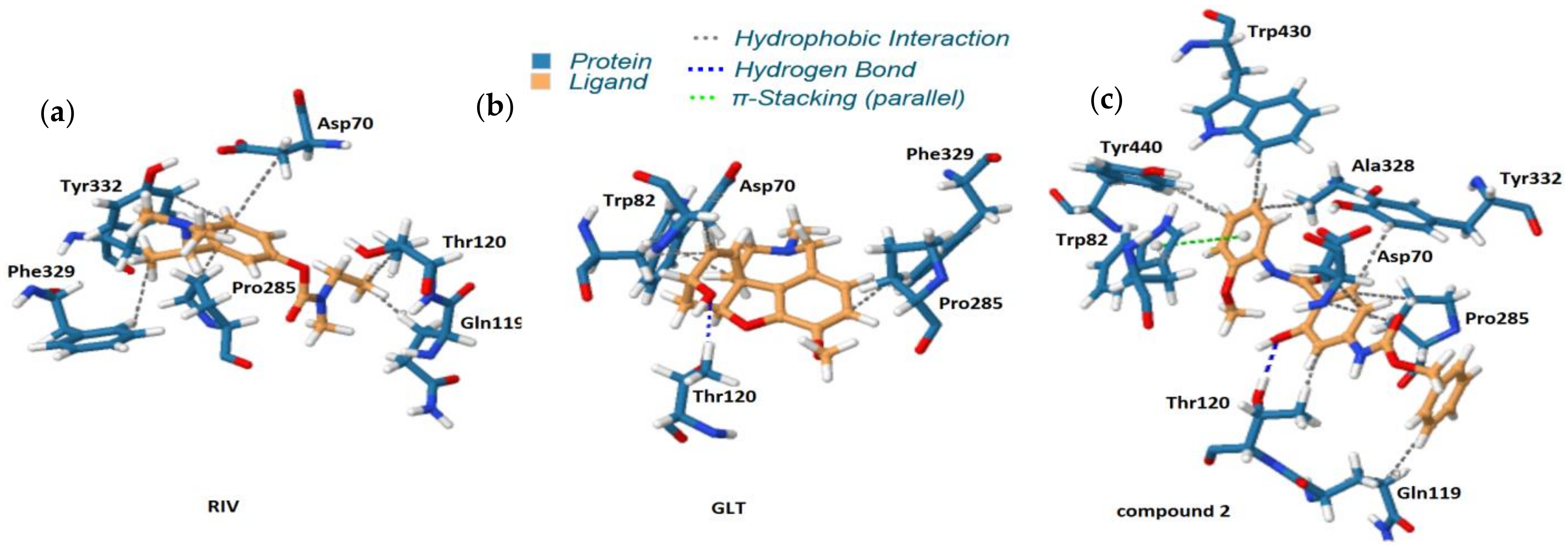 Ijms 22 03444 g008 Ijms 22 03444 g008
