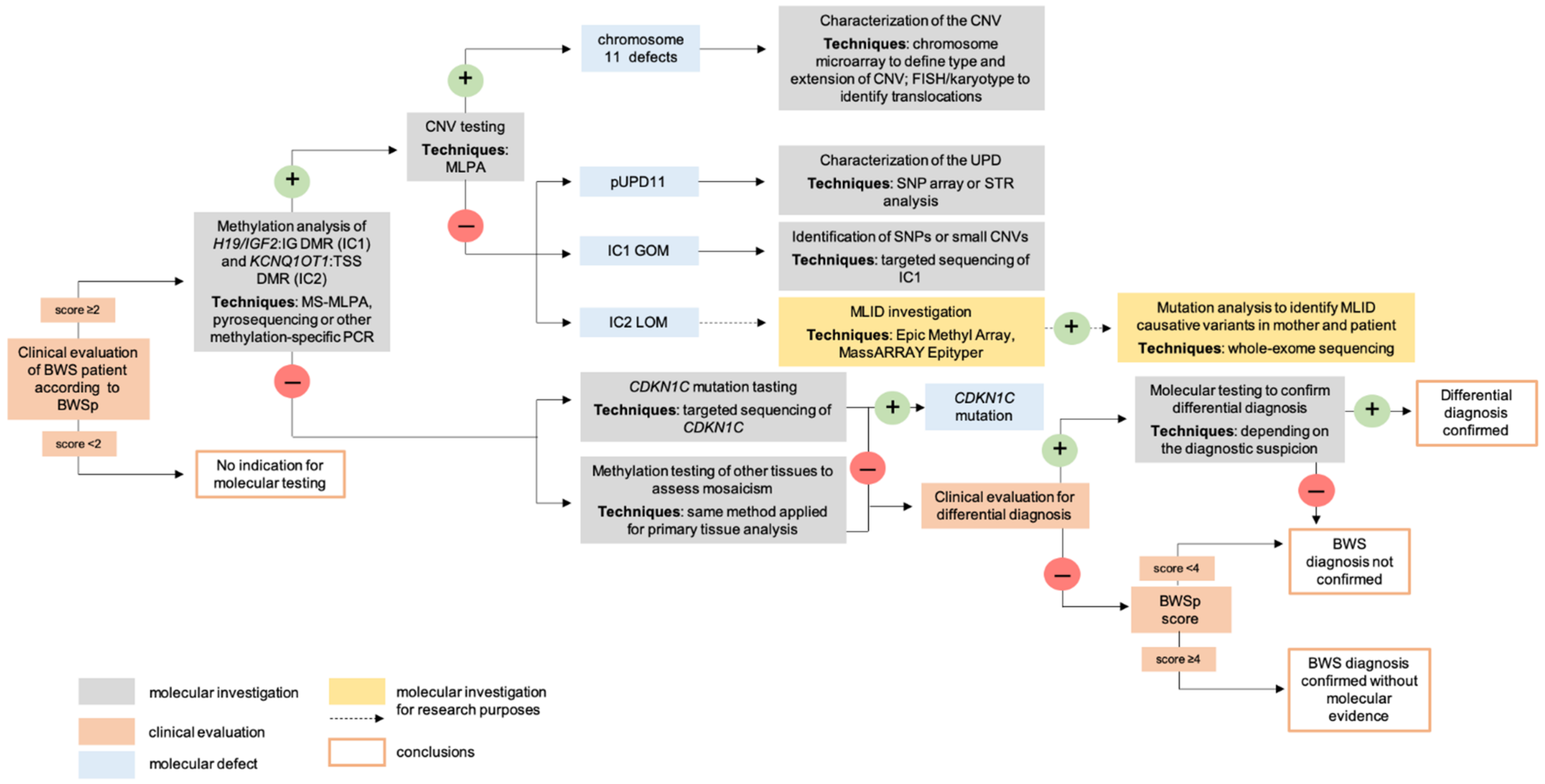 Beckwith Wiedemann Syndrome