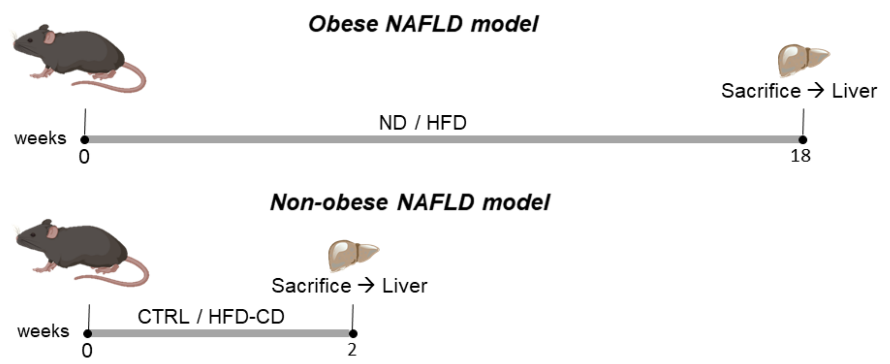 Ijms 22 03446 g001 Ijms 22 03446 g001