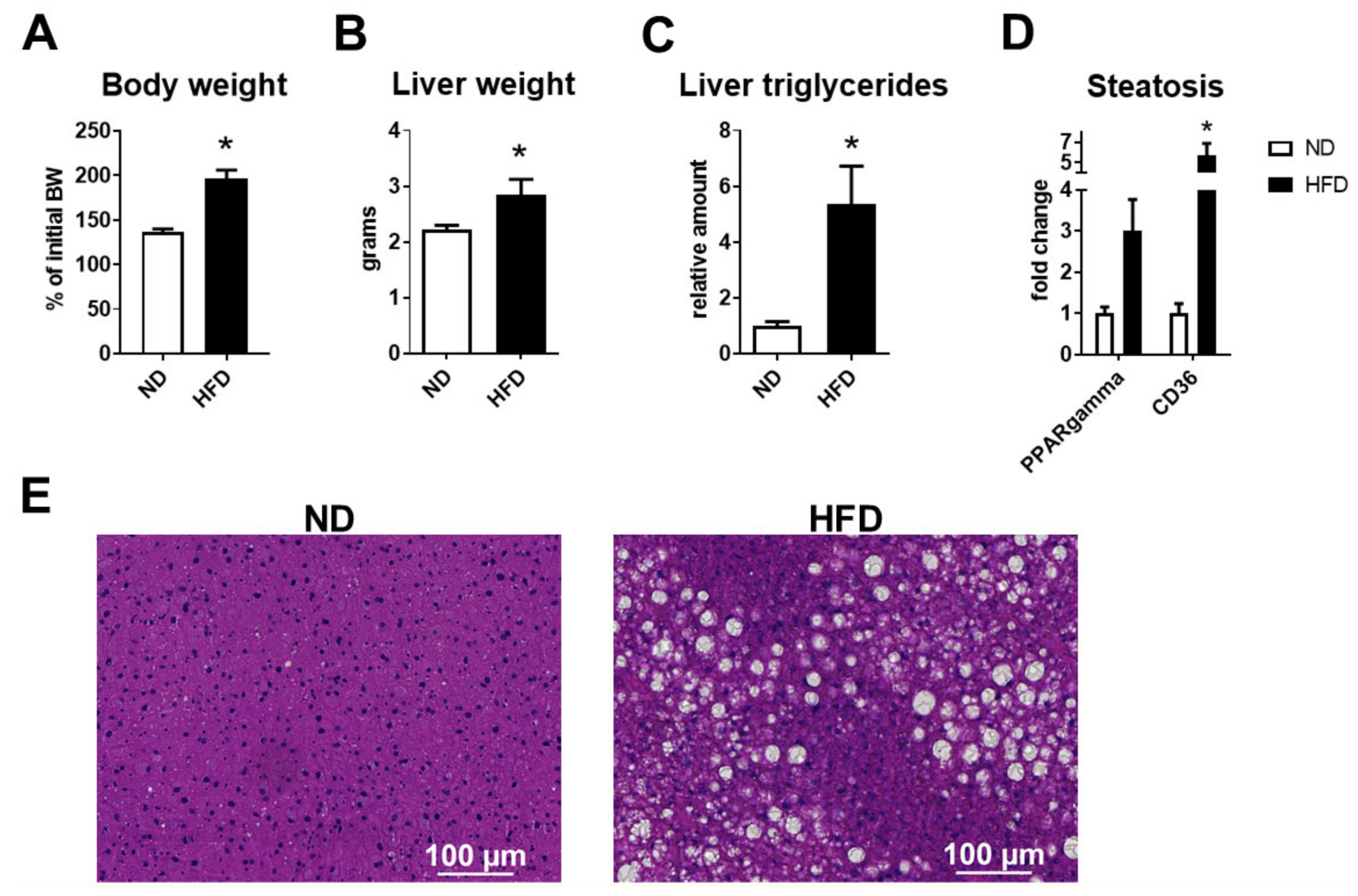 Ijms 22 03446 g002 Ijms 22 03446 g002