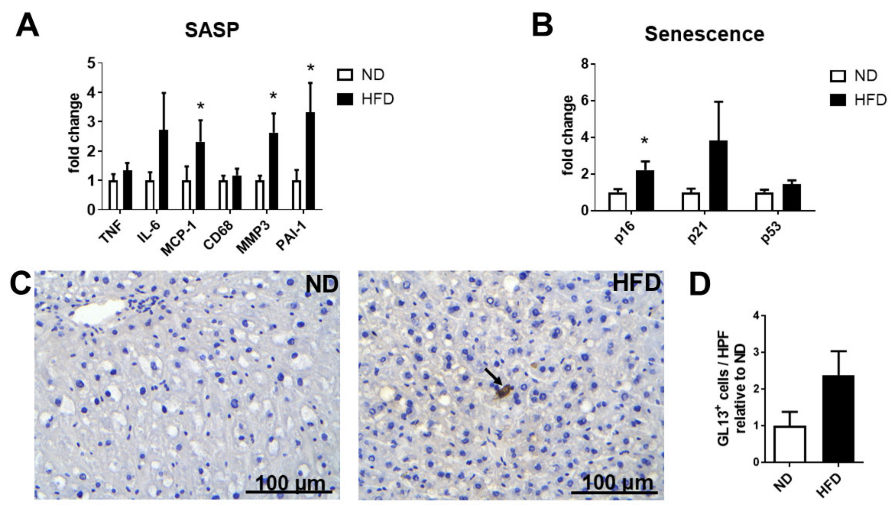 Ijms 22 03446 g004 Ijms 22 03446 g004
