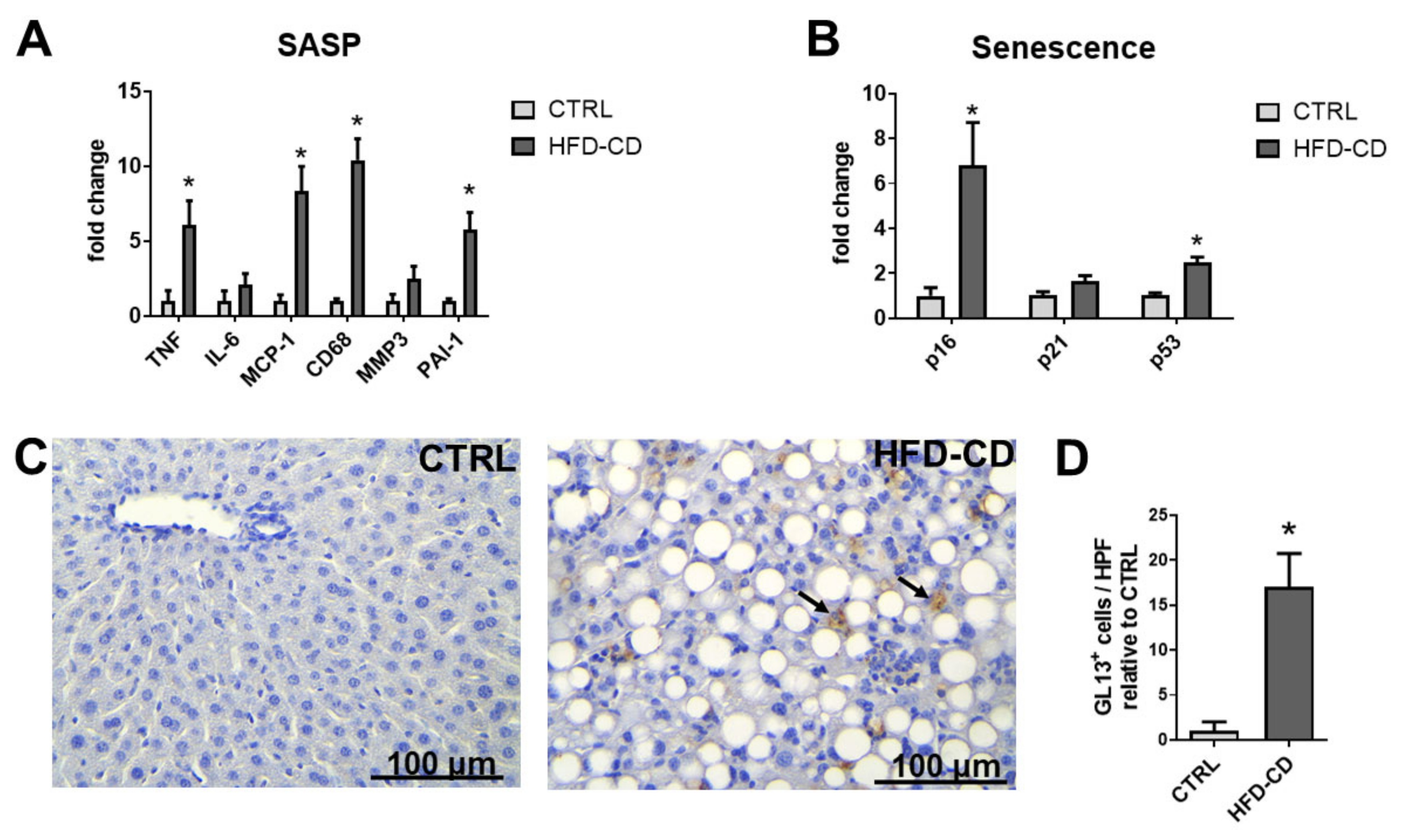Ijms 22 03446 g005 Ijms 22 03446 g005