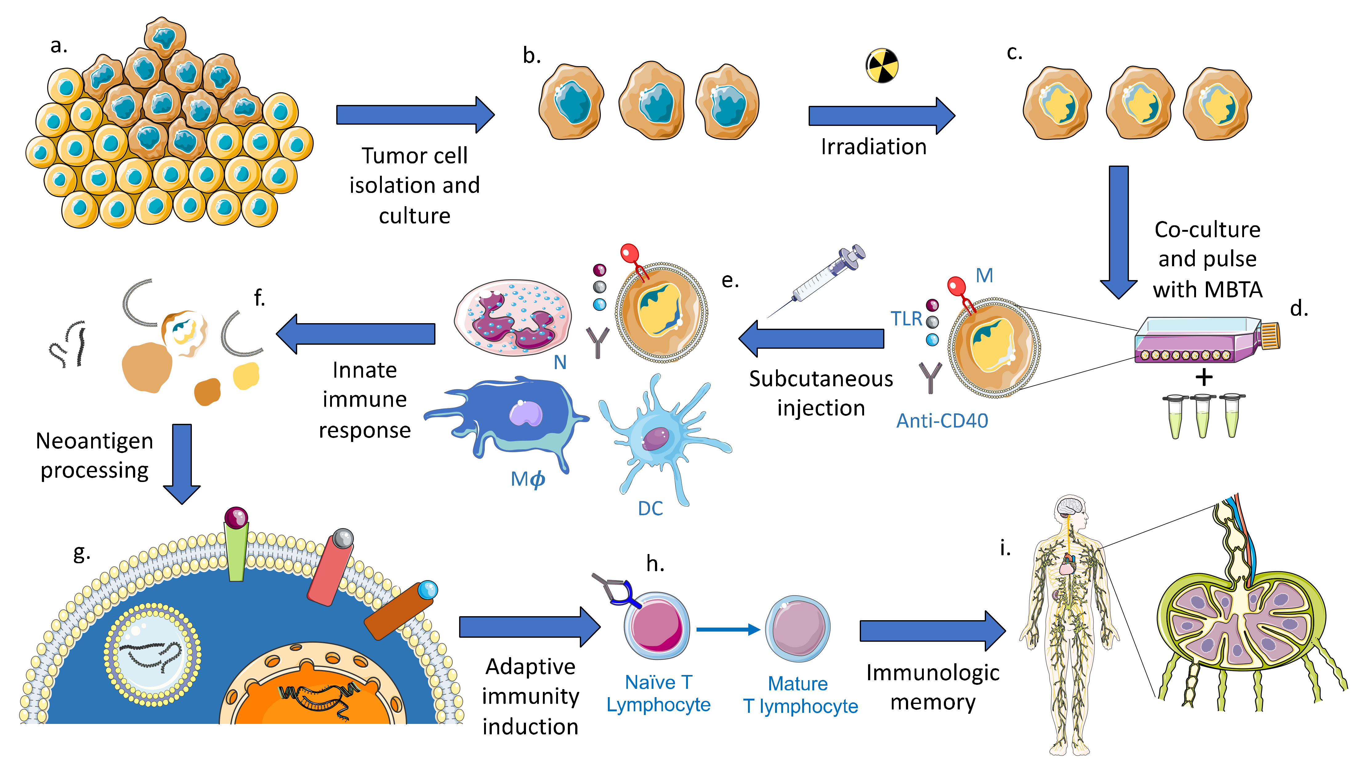 Ijms 22 03455 g001 Ijms 22 03455 g001