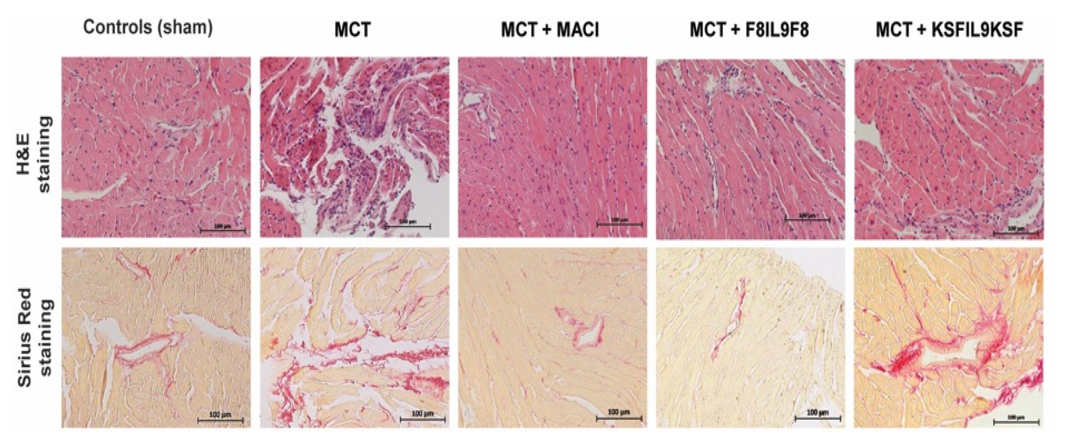 Ijms 22 03460 g005 Ijms 22 03460 g005