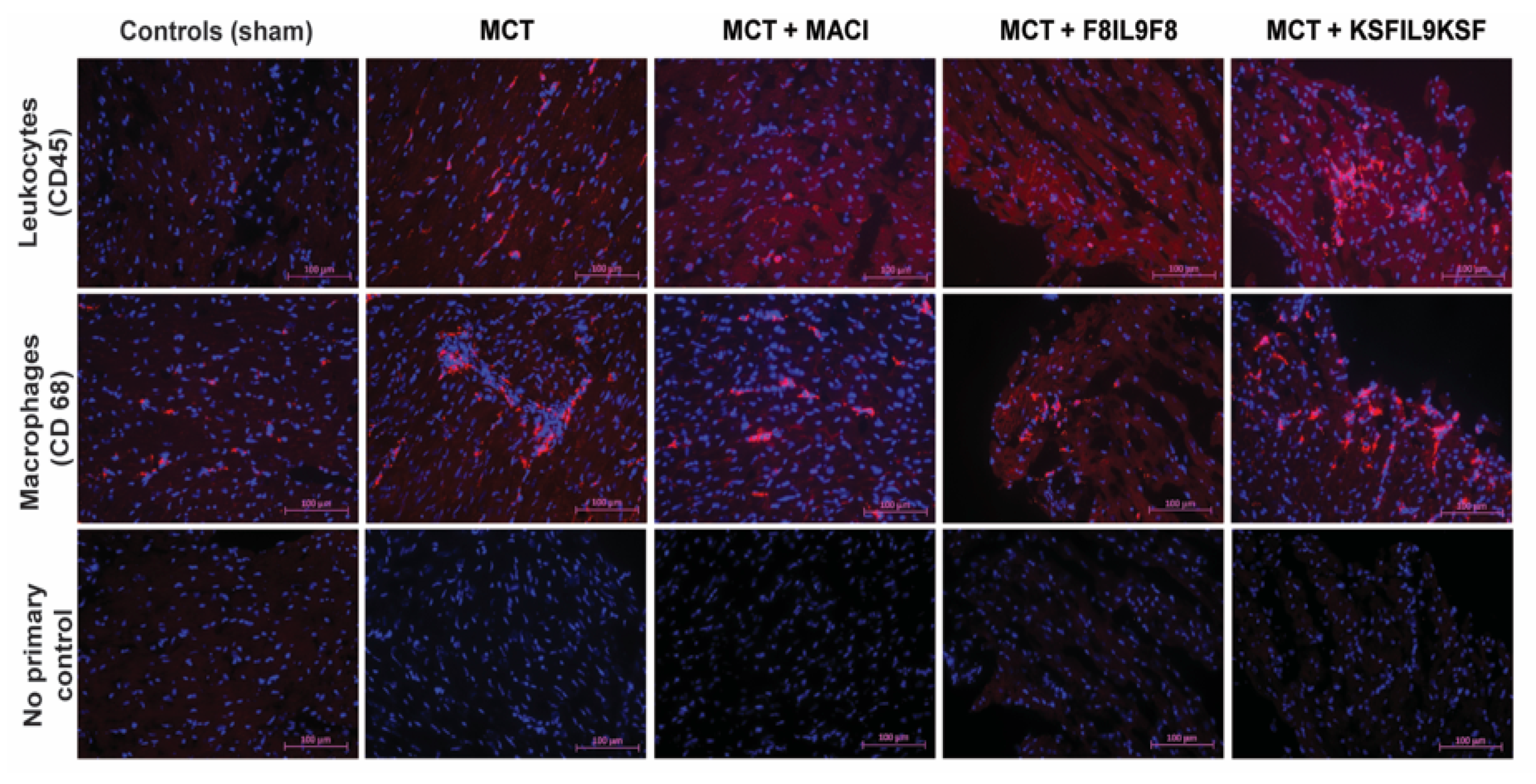 Ijms 22 03460 g007 Ijms 22 03460 g007
