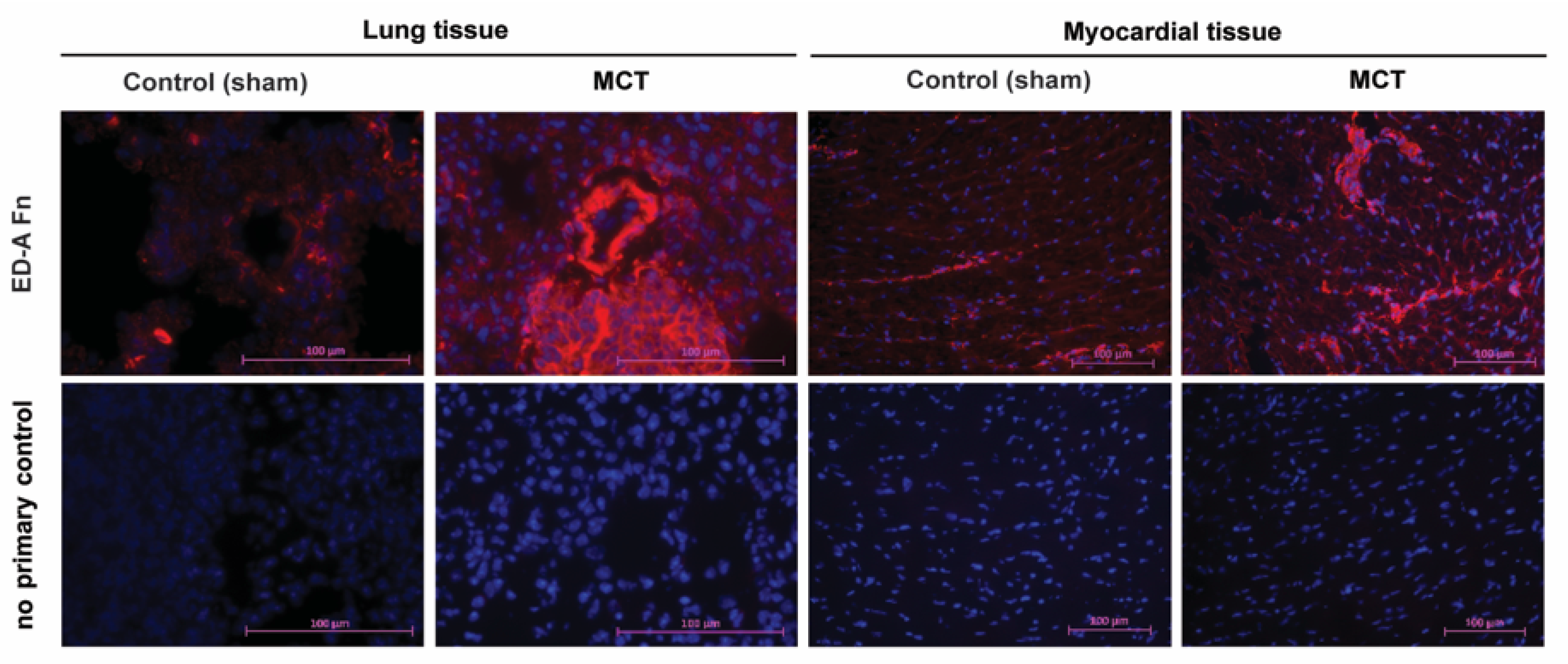 Ijms 22 03460 g009 Ijms 22 03460 g009
