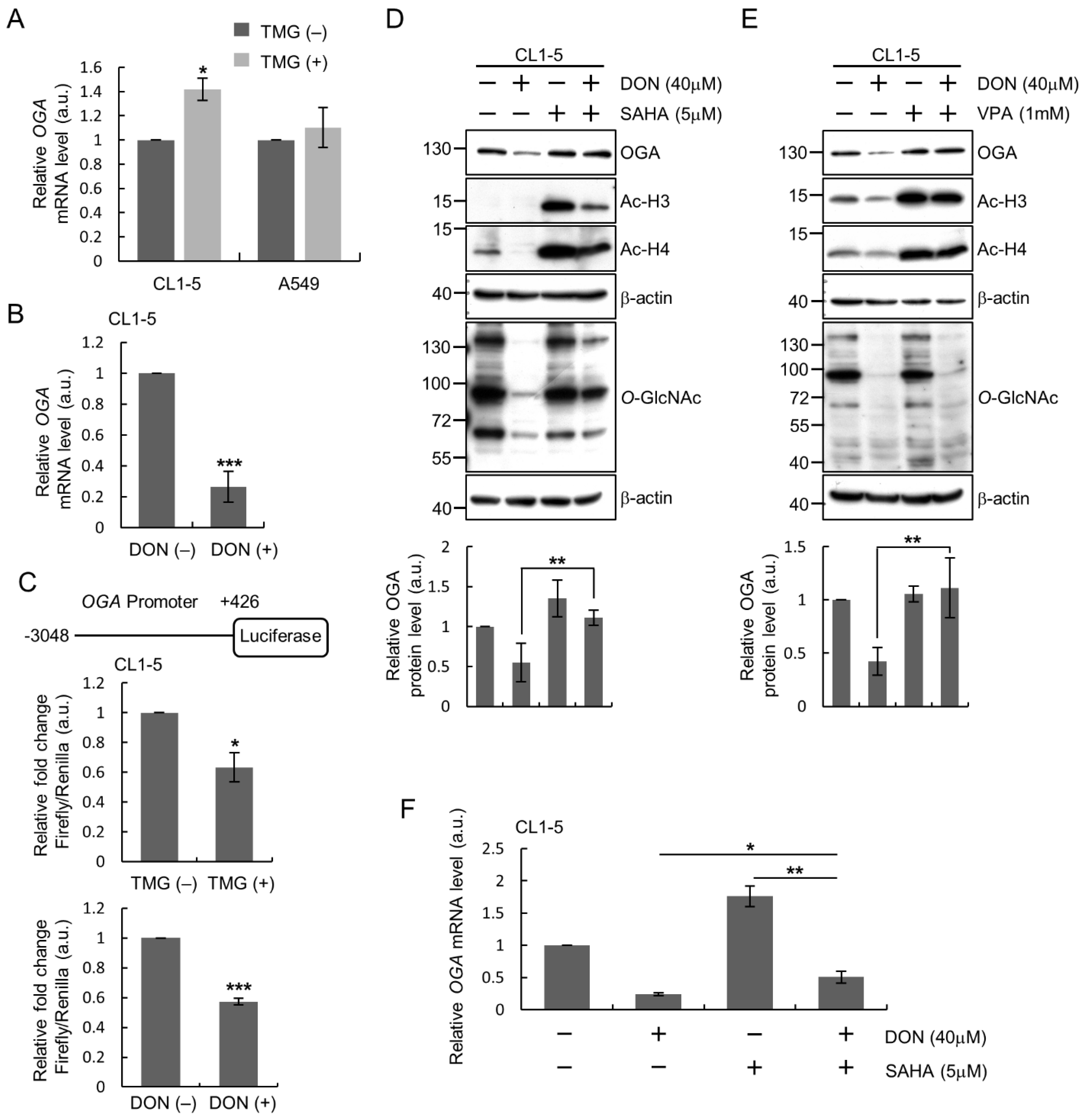 Ijms 22 03463 g002 Ijms 22 03463 g002