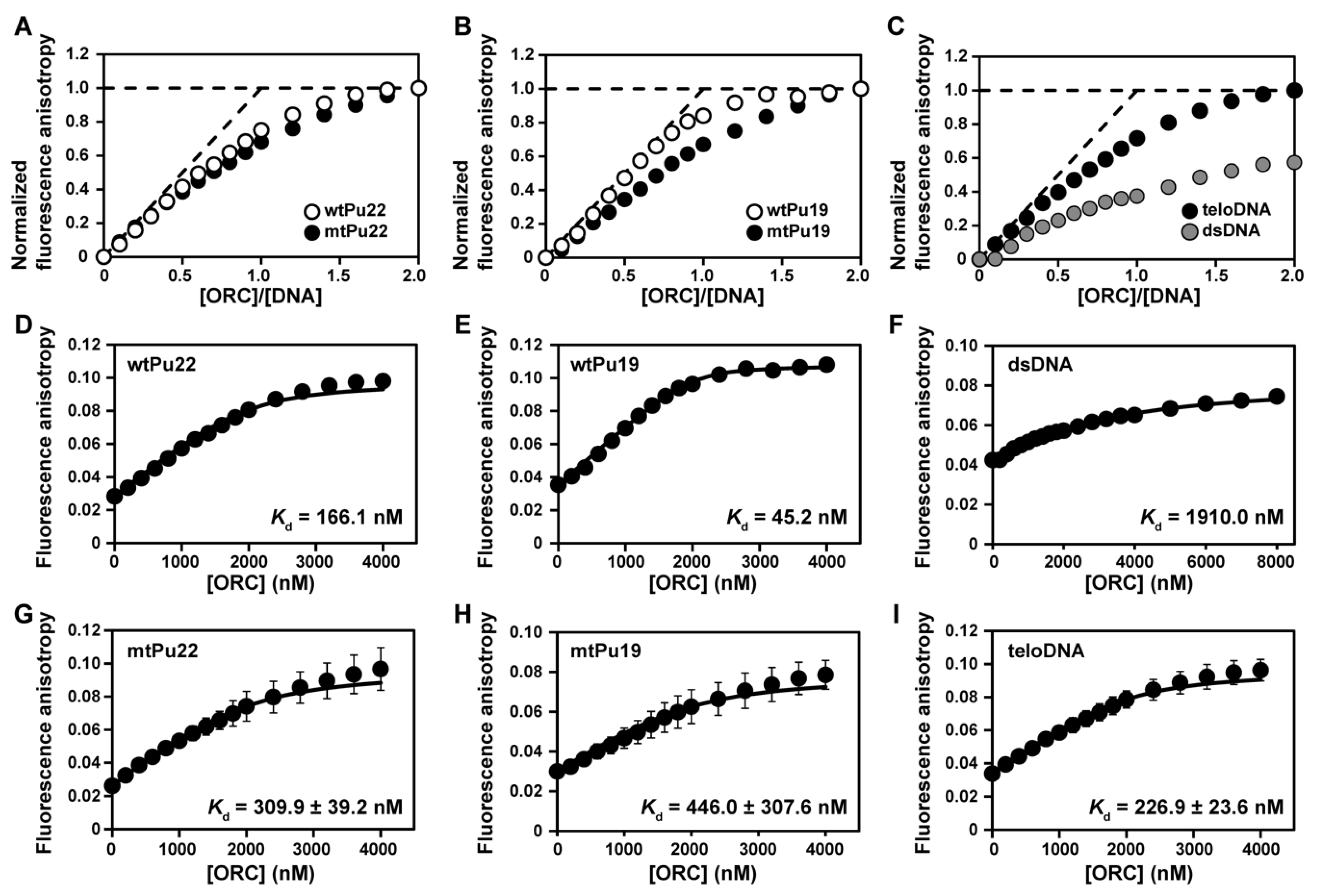 Ijms 22 03481 g001 Ijms 22 03481 g001