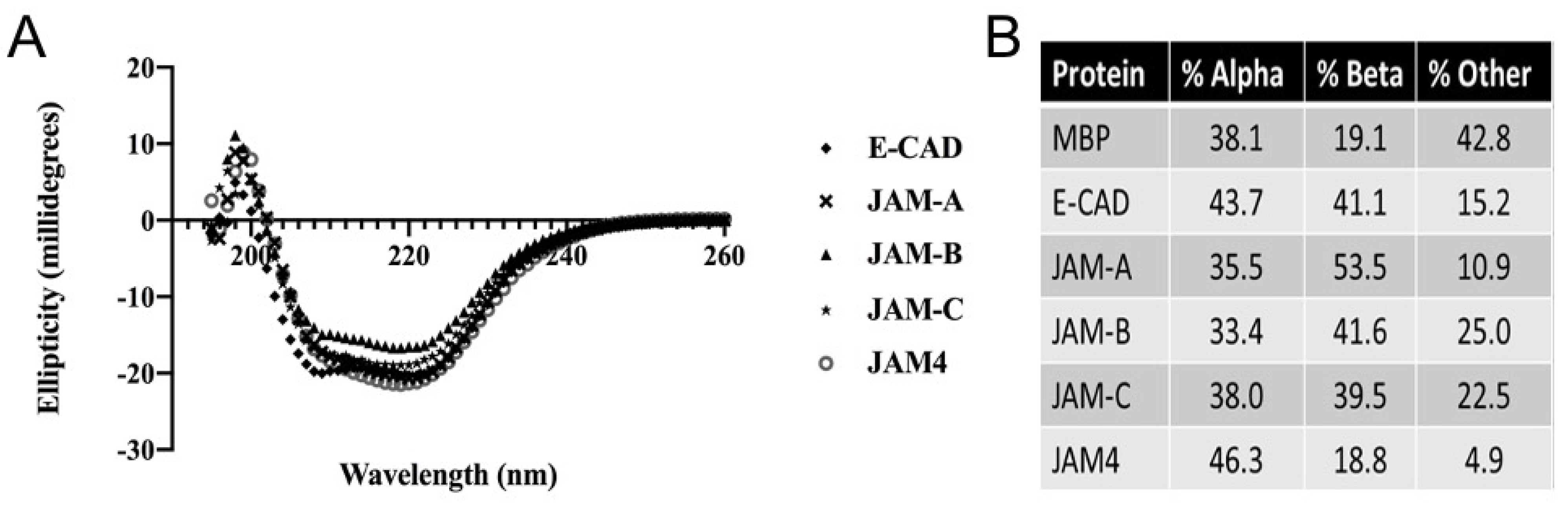 Ijms 22 03482 g002 Ijms 22 03482 g002