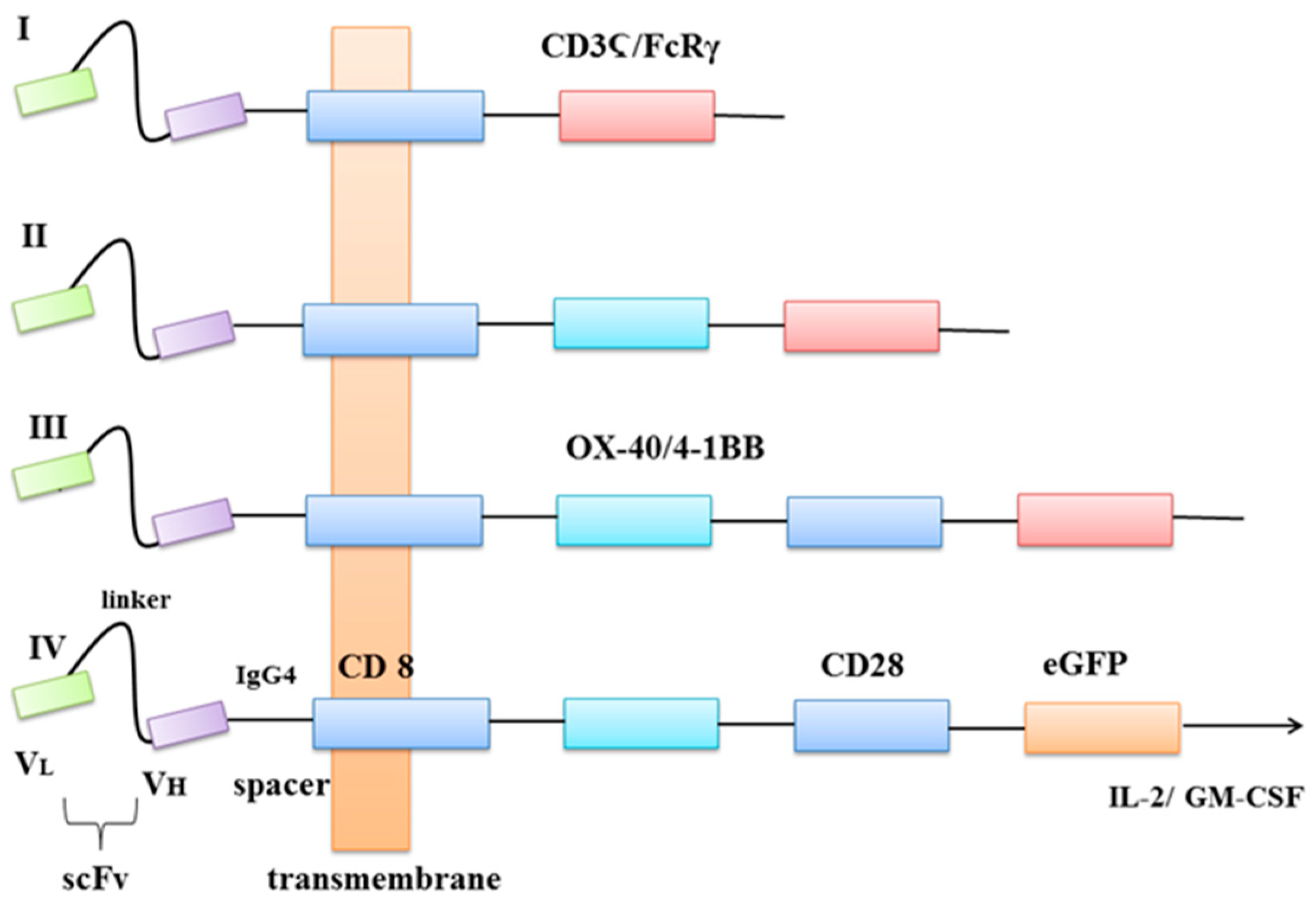 Ijms 22 03495 g001 Ijms 22 03495 g001