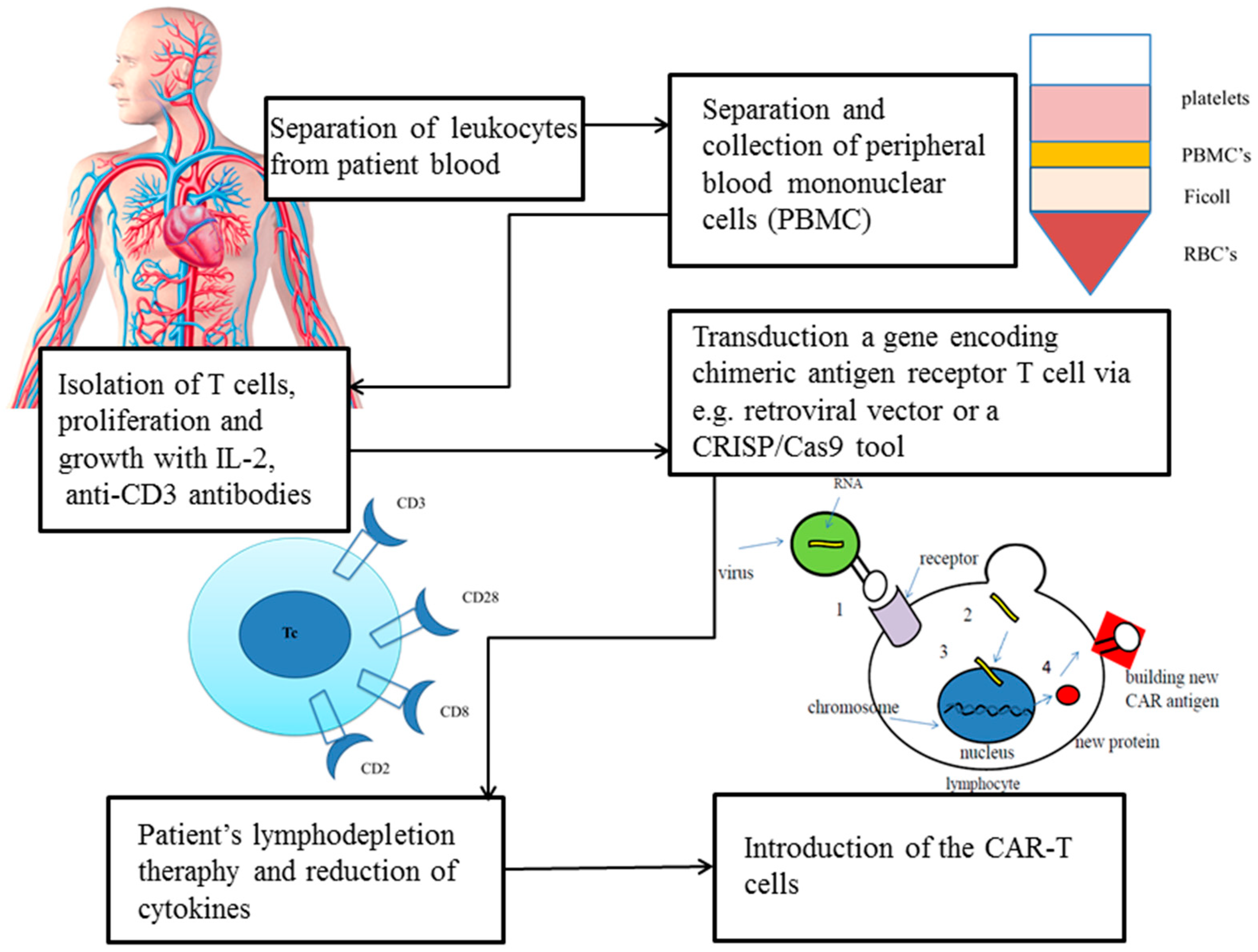 Ijms 22 03495 g002 Ijms 22 03495 g002