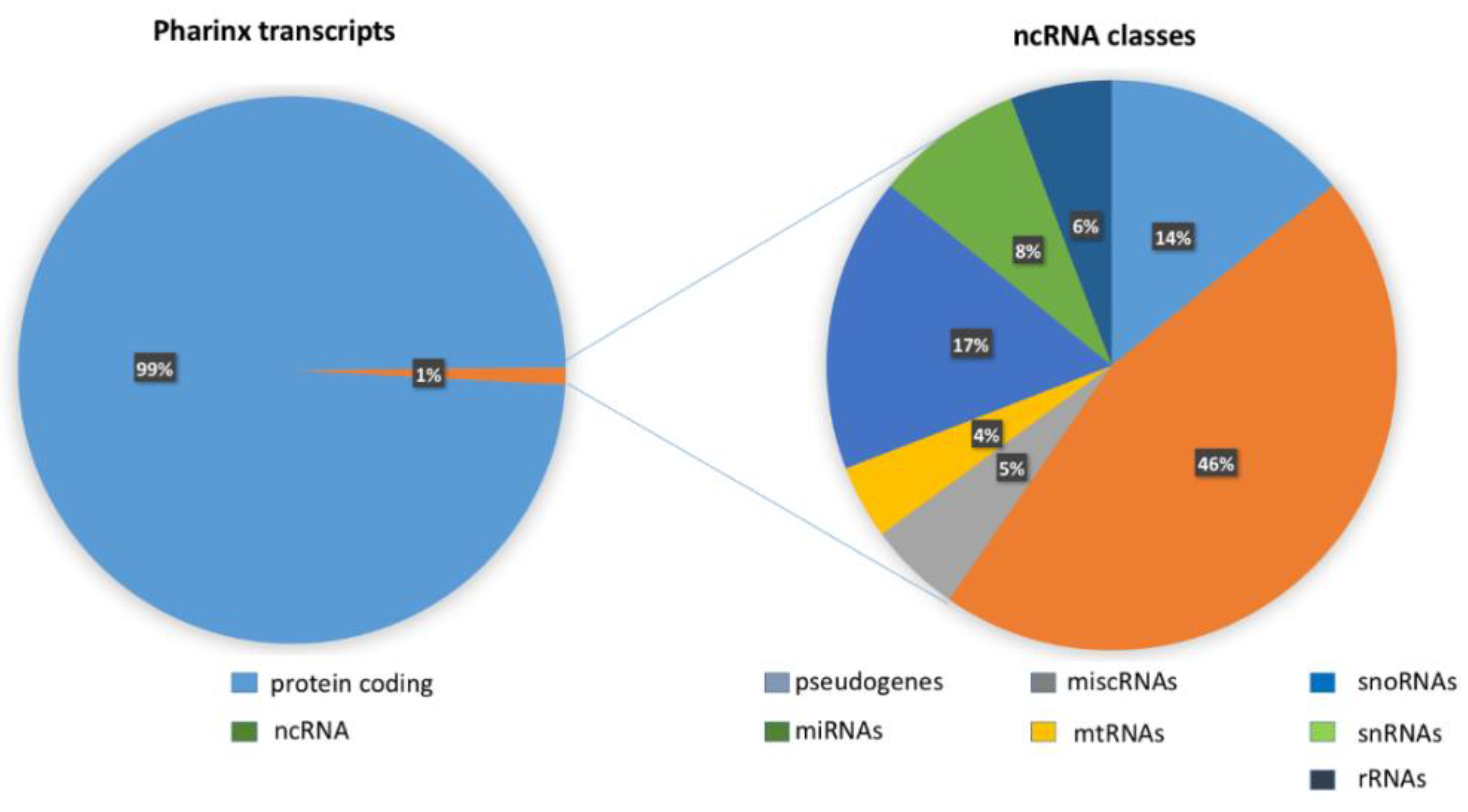 Ijms 22 03497 g002 Ijms 22 03497 g002