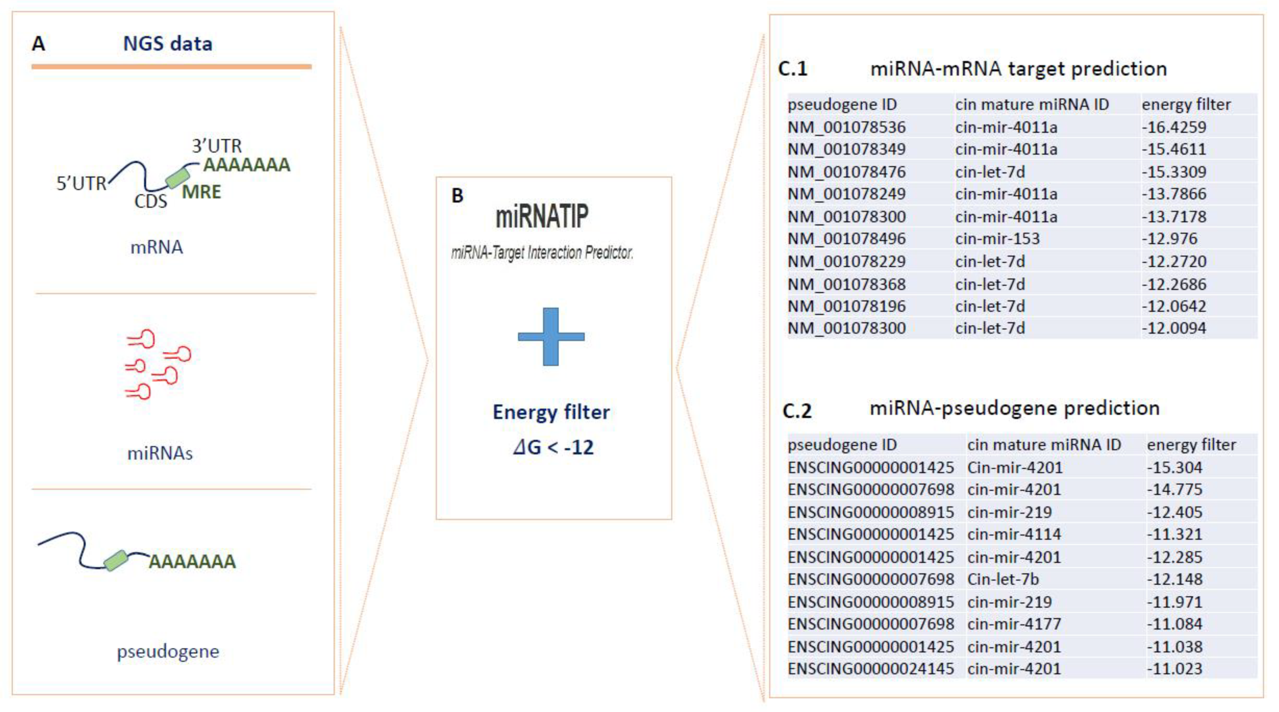 Ijms 22 03497 g004 Ijms 22 03497 g004