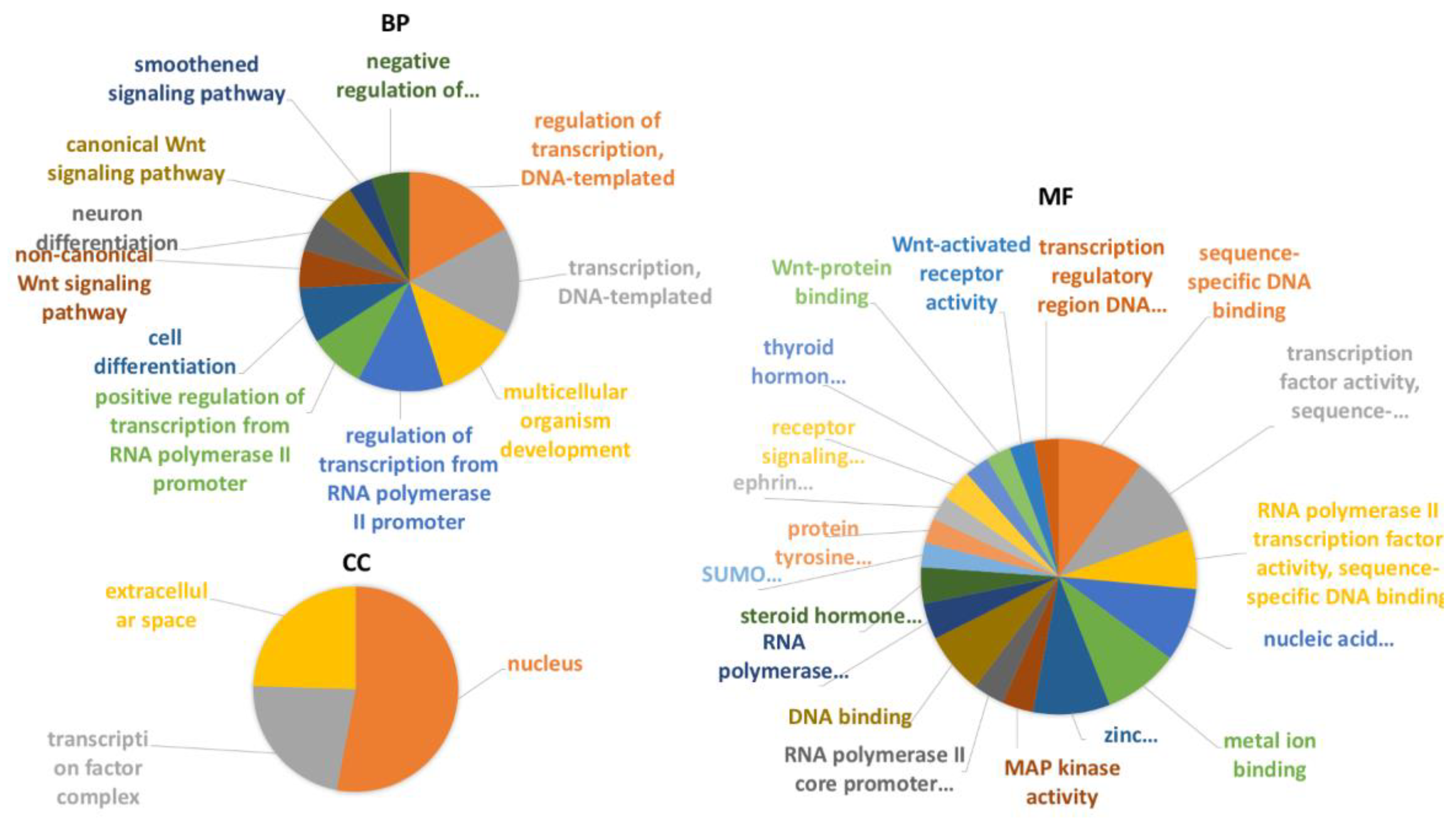 Ijms 22 03497 g005 Ijms 22 03497 g005