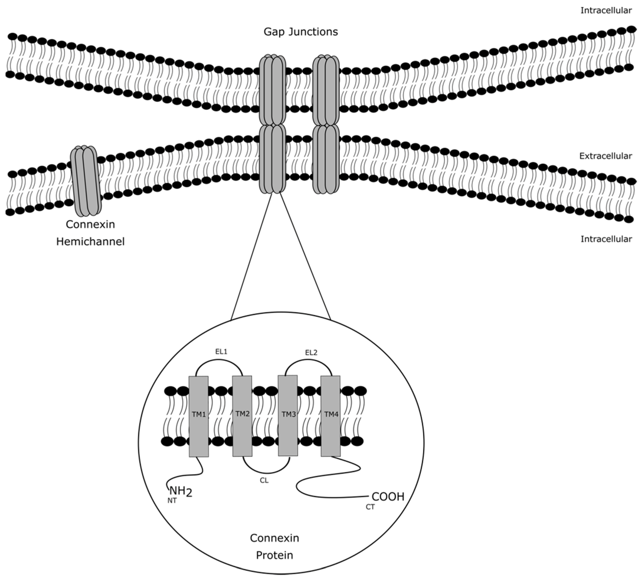 Ijms 22 03503 g001 Ijms 22 03503 g001