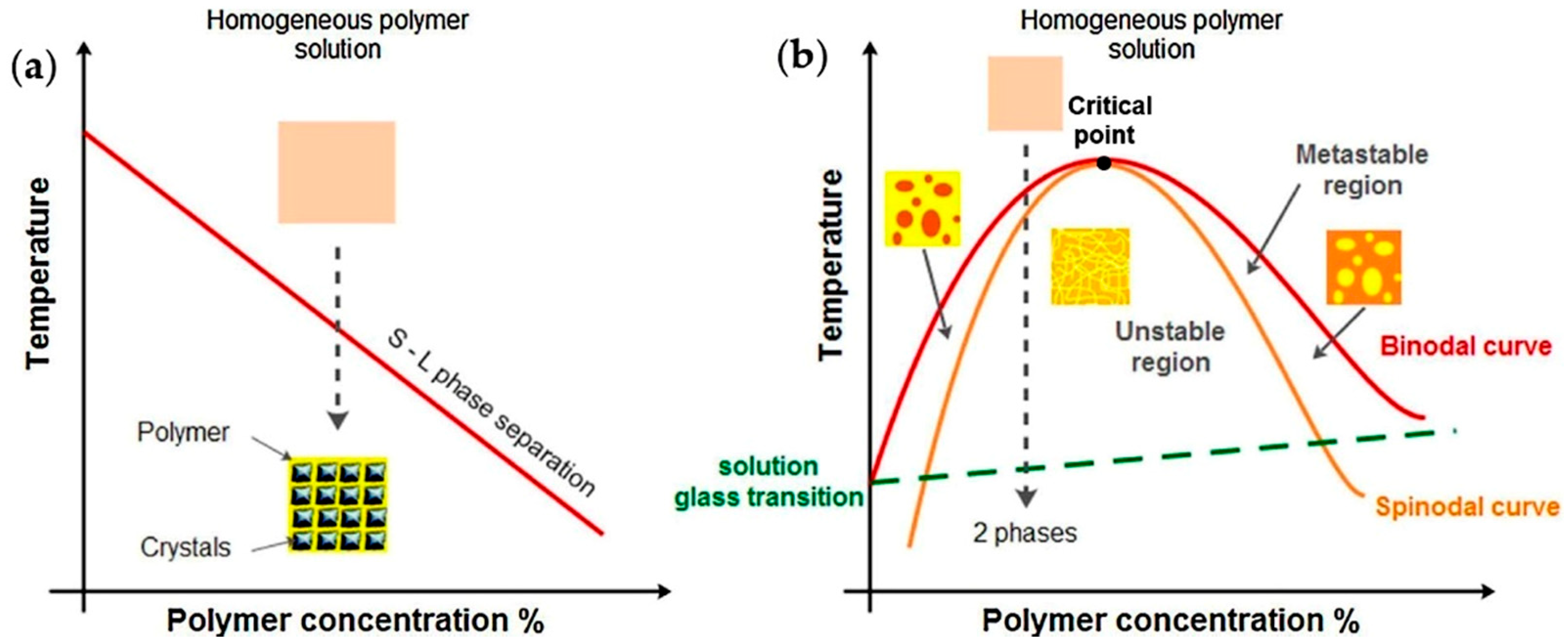 Ijms 22 03504 g001 Ijms 22 03504 g001