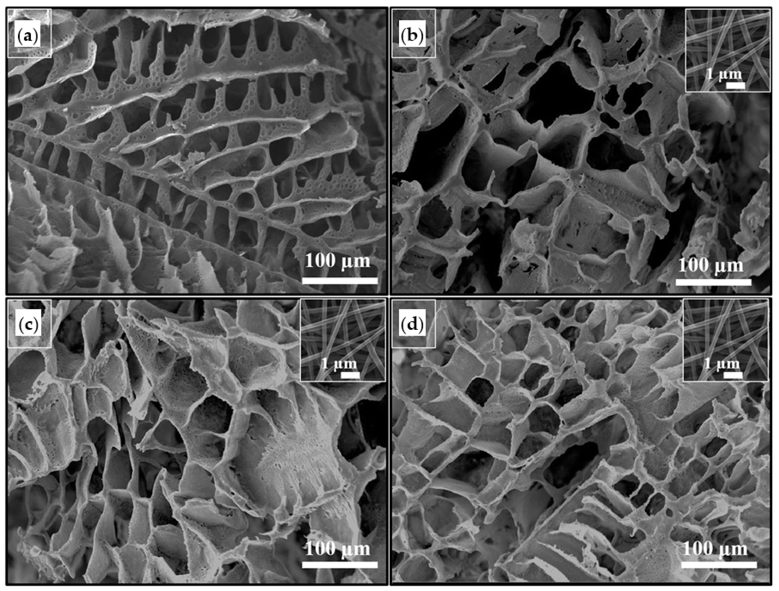 Ijms 22 03504 g002 Ijms 22 03504 g002