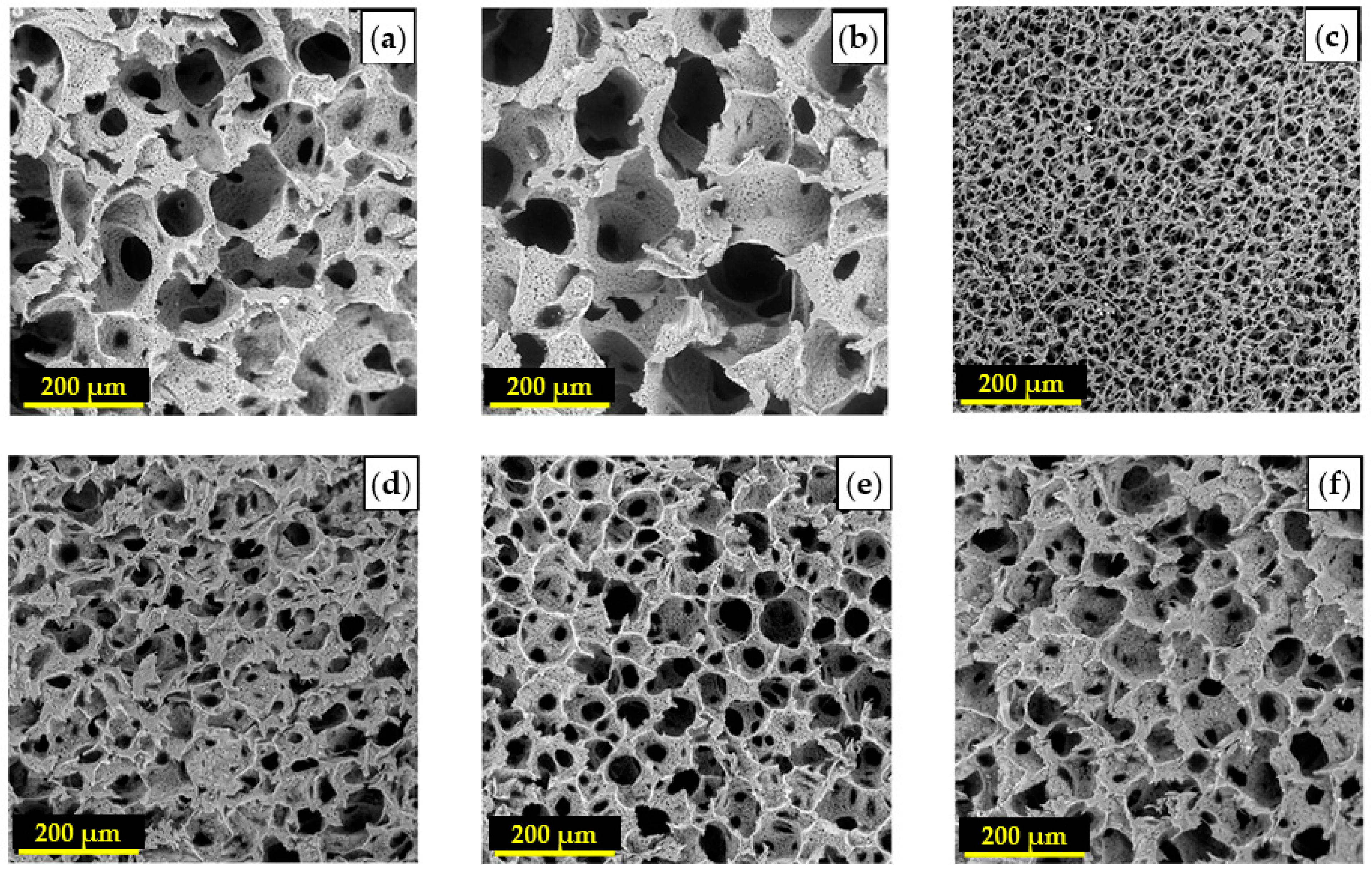 Ijms 22 03504 g004 Ijms 22 03504 g004