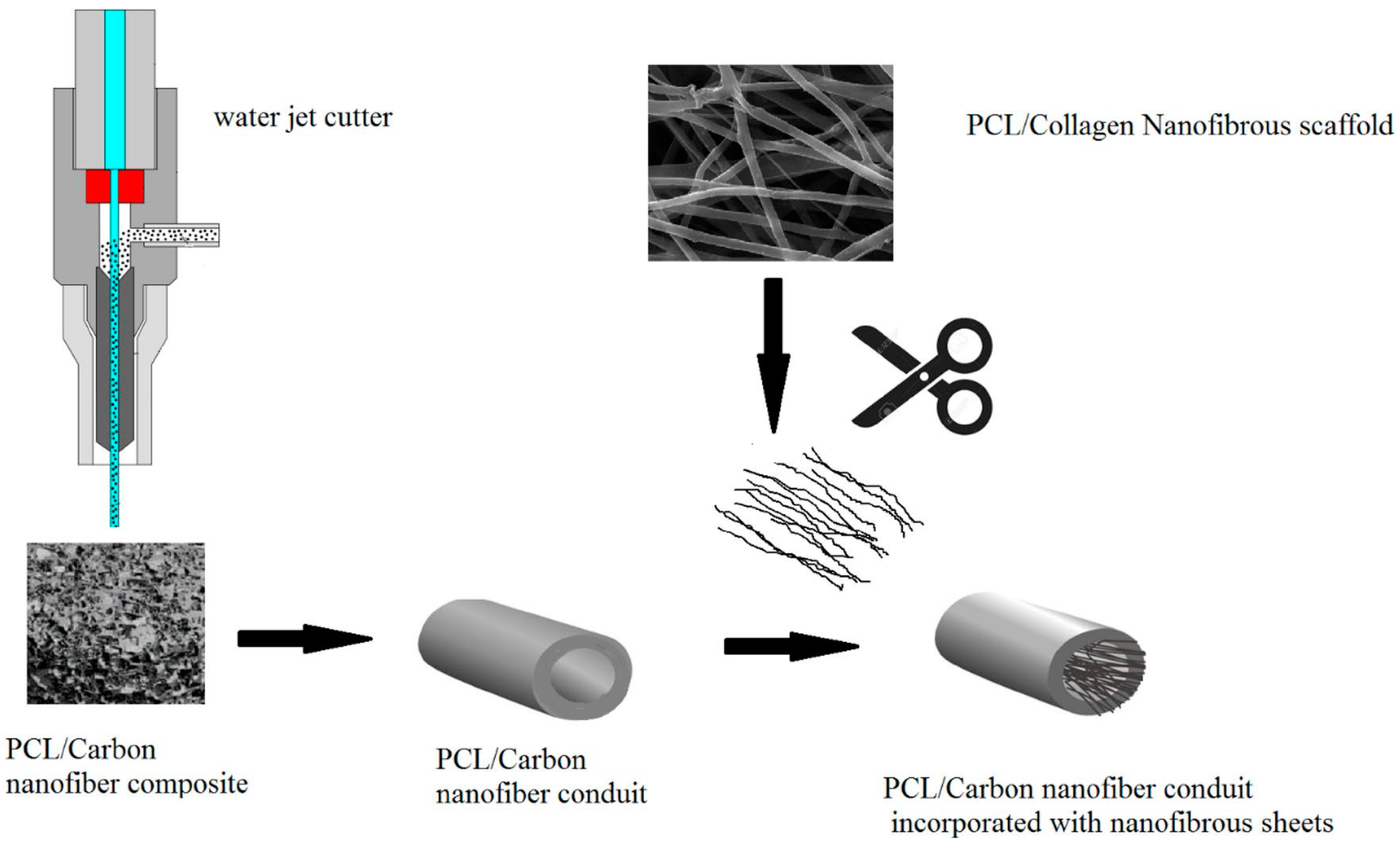 Ijms 22 03504 g005 Ijms 22 03504 g005
