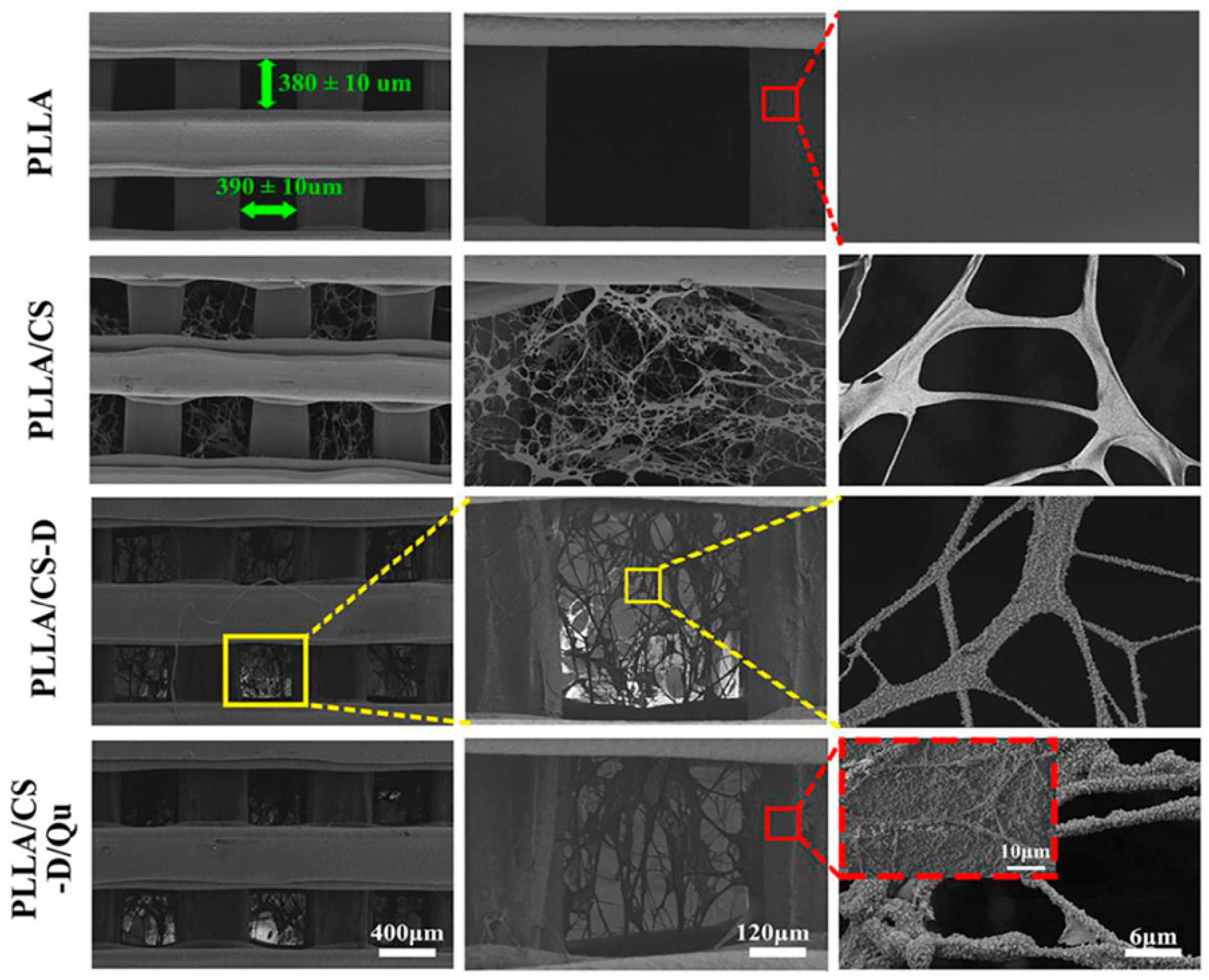 Ijms 22 03504 g006 Ijms 22 03504 g006