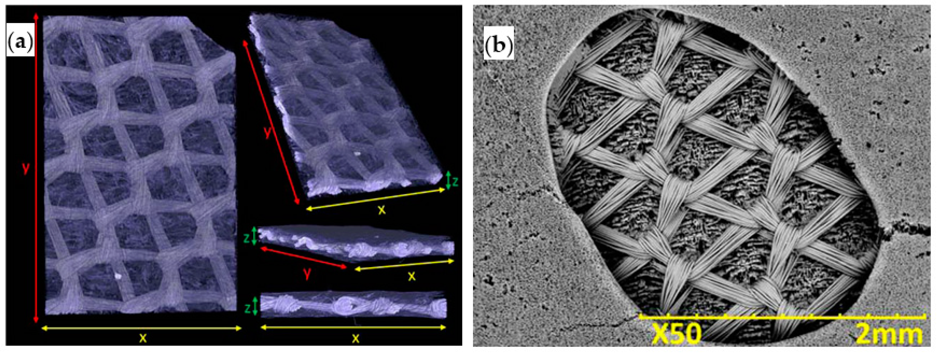 Ijms 22 03504 g008 Ijms 22 03504 g008