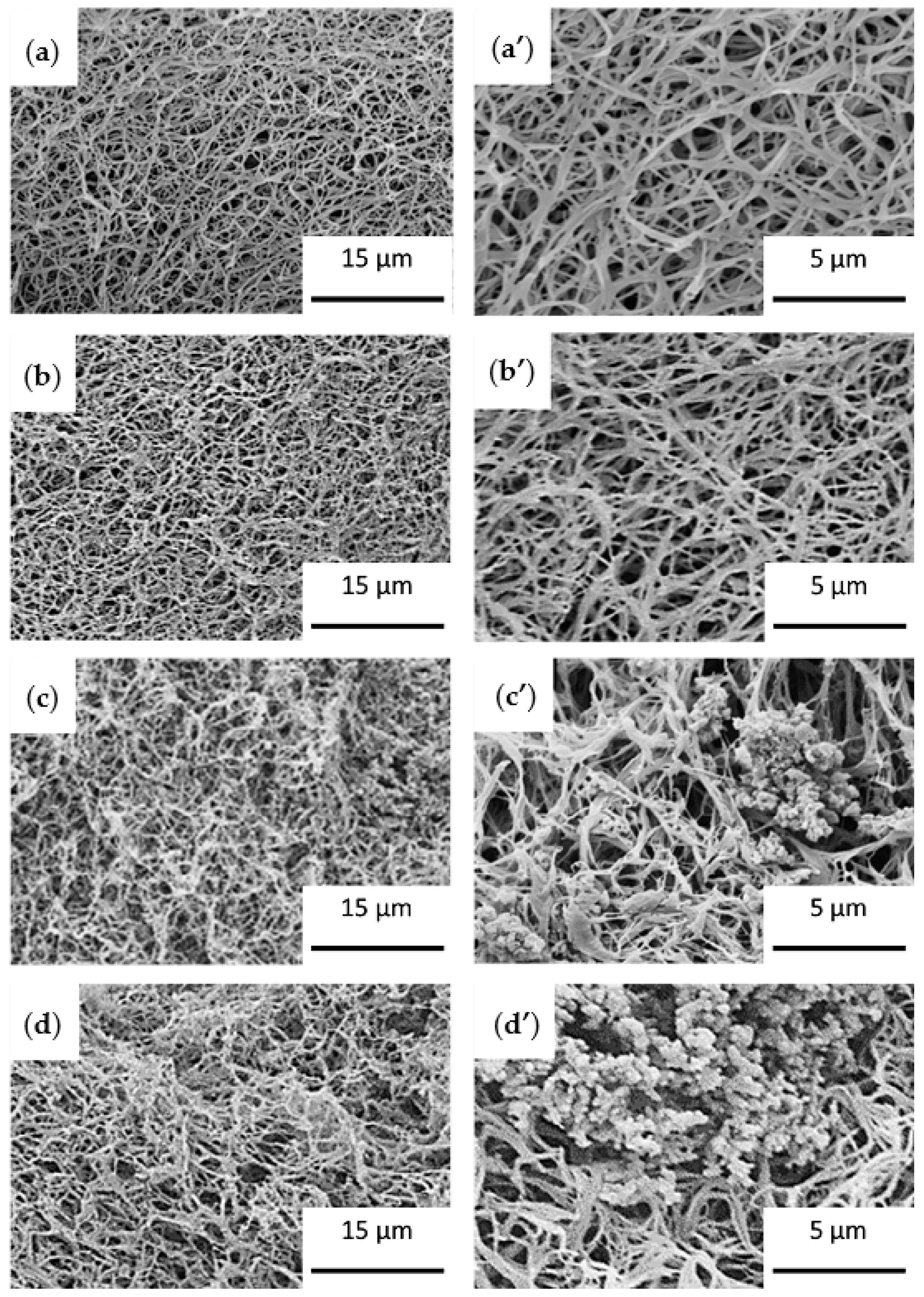 Ijms 22 03504 g014 Ijms 22 03504 g014