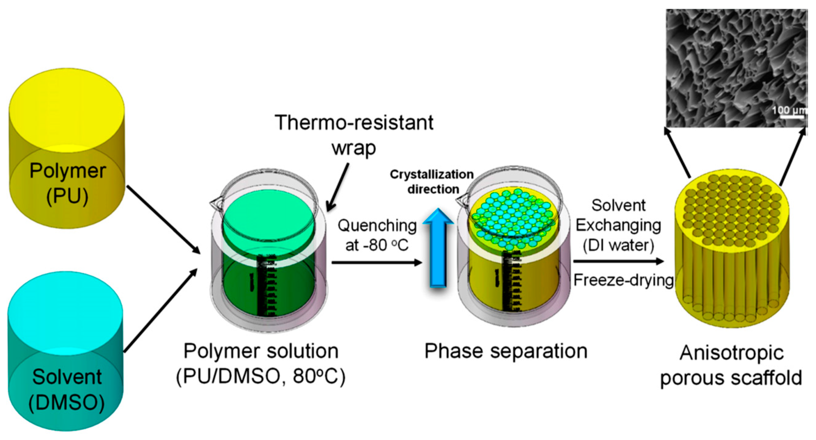 Ijms 22 03504 g015 Ijms 22 03504 g015