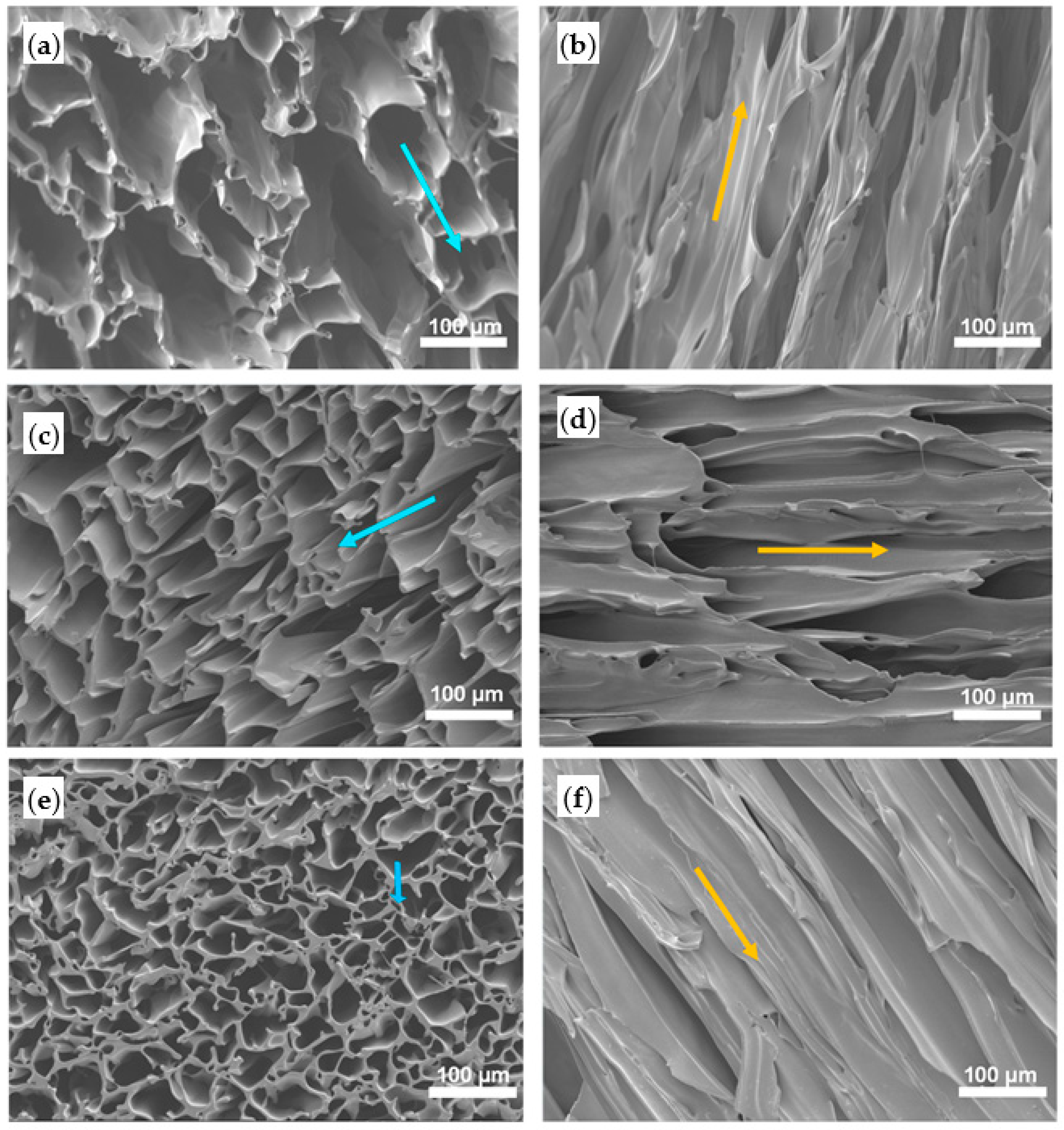Ijms 22 03504 g016 Ijms 22 03504 g016