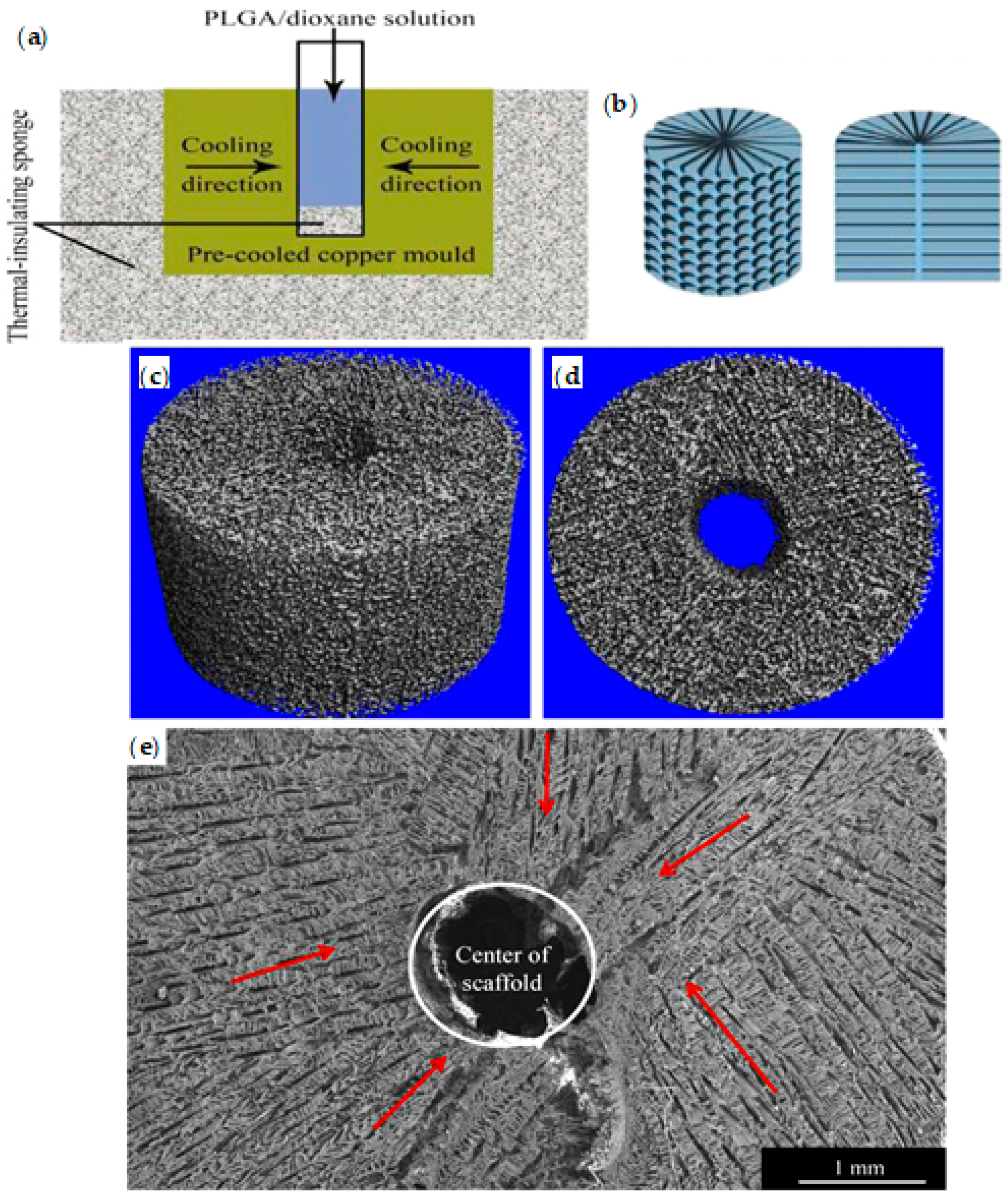 Ijms 22 03504 g017 Ijms 22 03504 g017