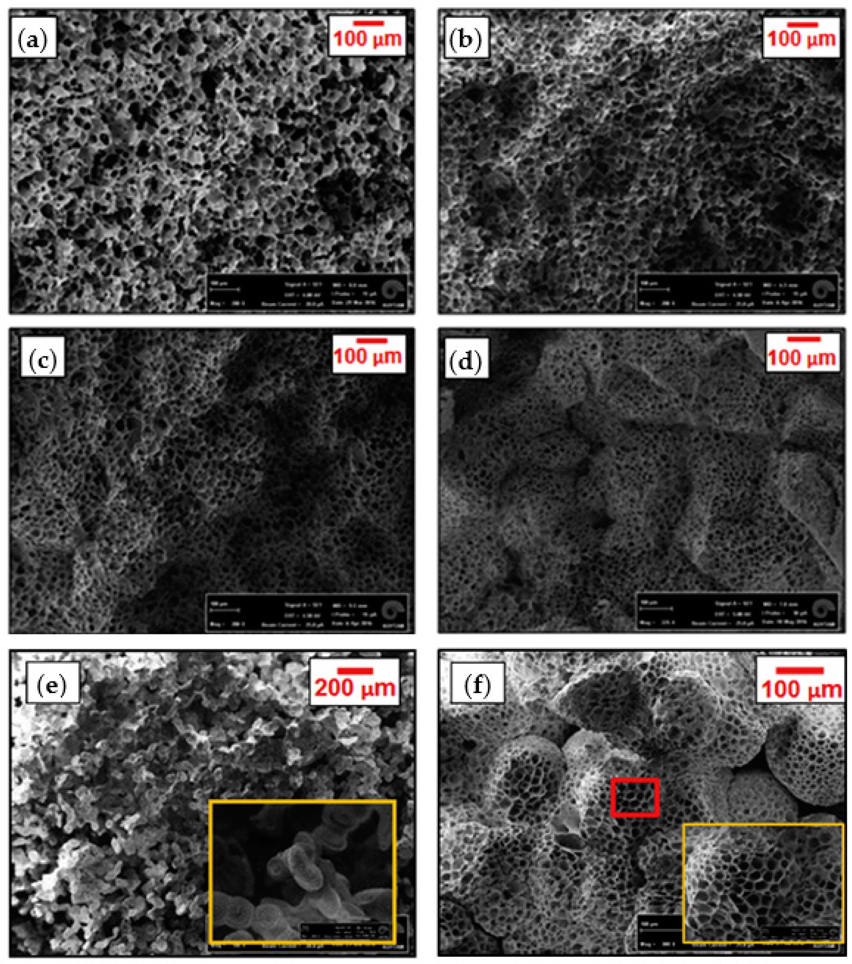 Ijms 22 03504 g020 Ijms 22 03504 g020