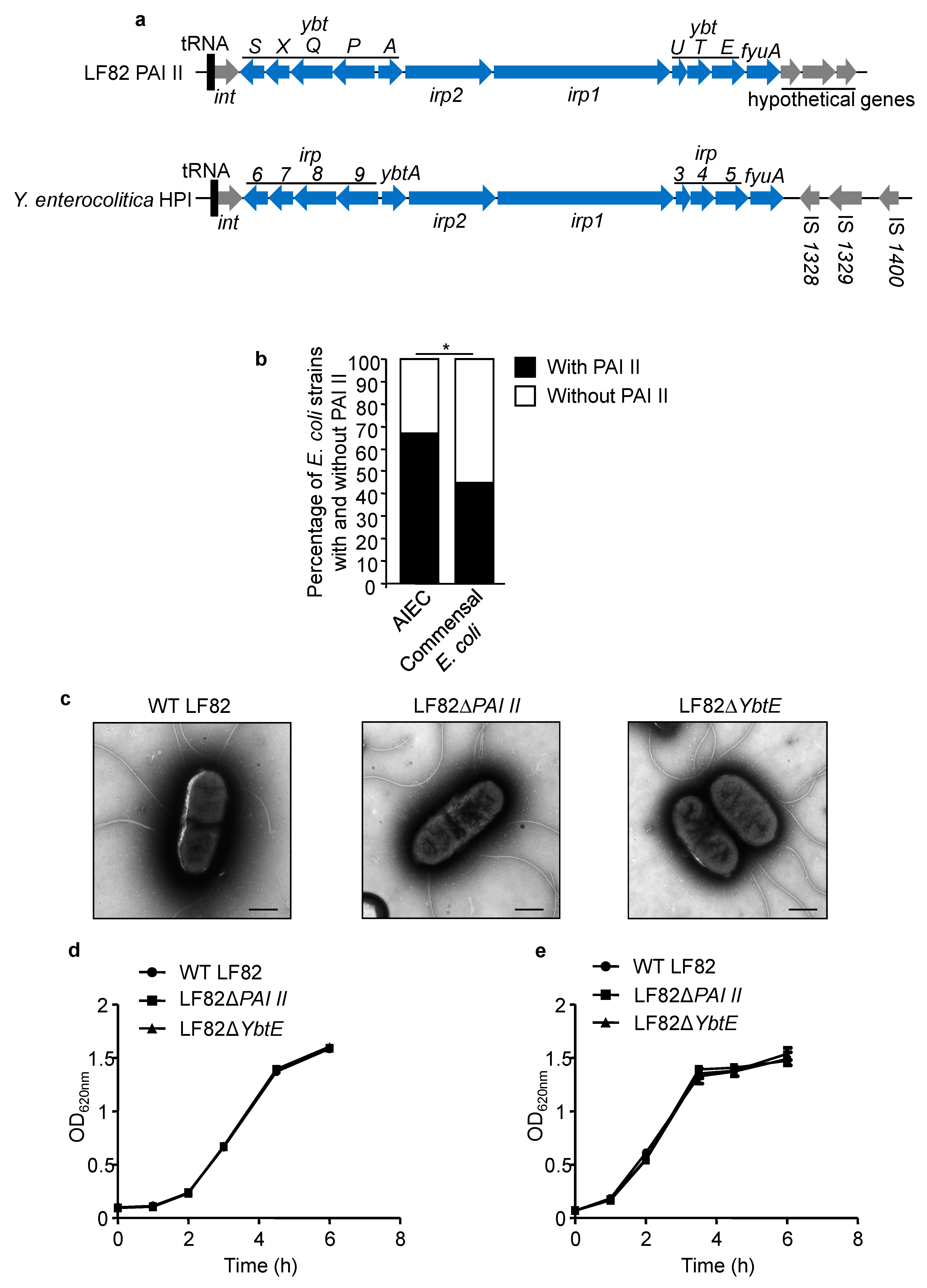 Ijms 22 03512 g001 Ijms 22 03512 g001