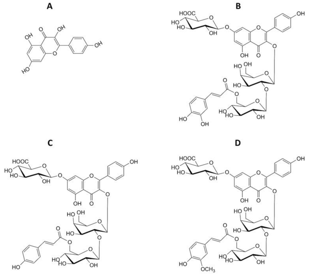 Ijms 22 03520 g001 Ijms 22 03520 g001
