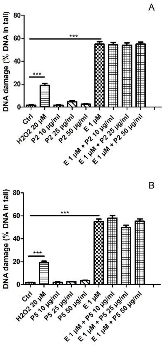 Ijms 22 03520 g004 Ijms 22 03520 g004