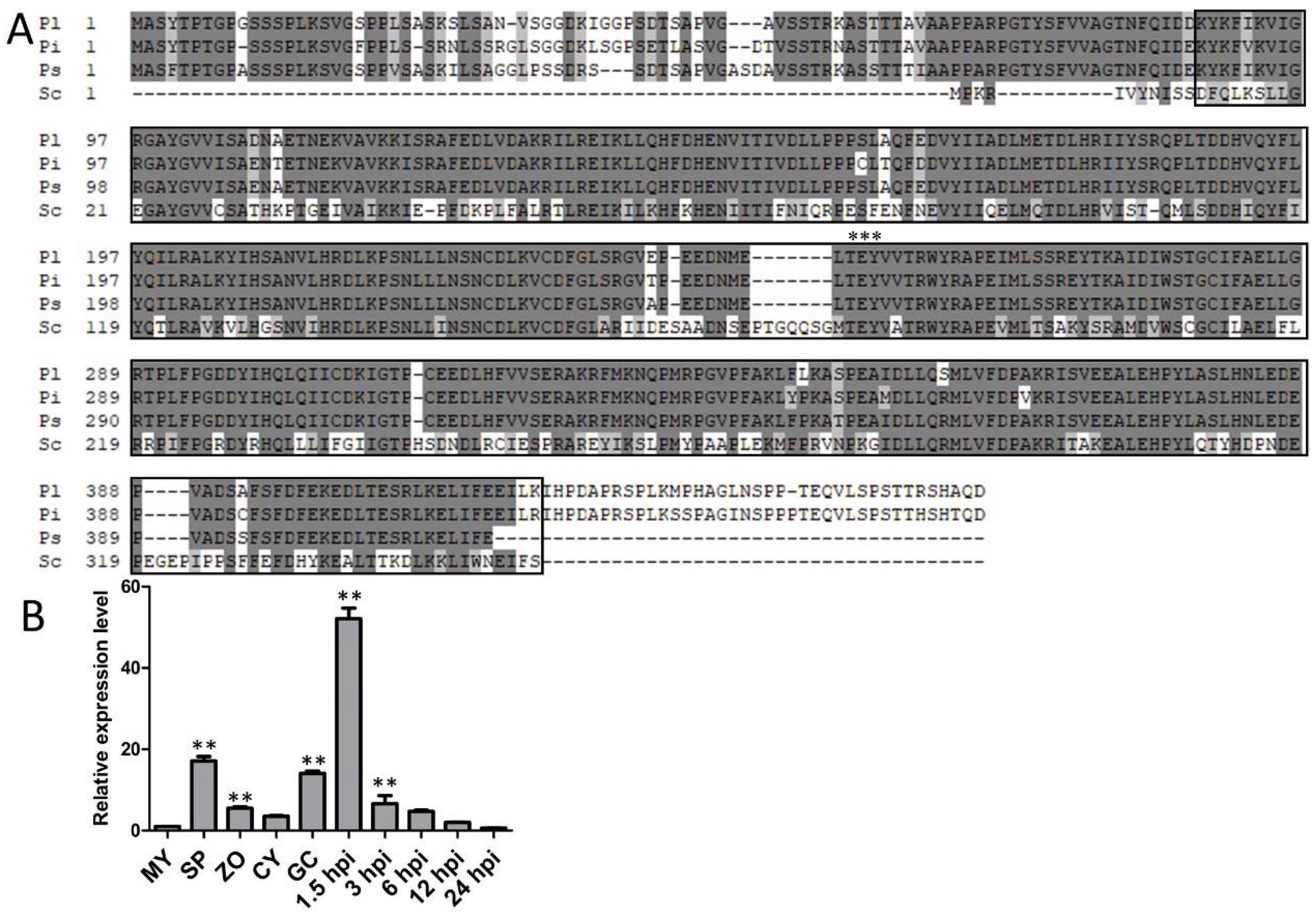 Ijms 22 03524 g001 Ijms 22 03524 g001