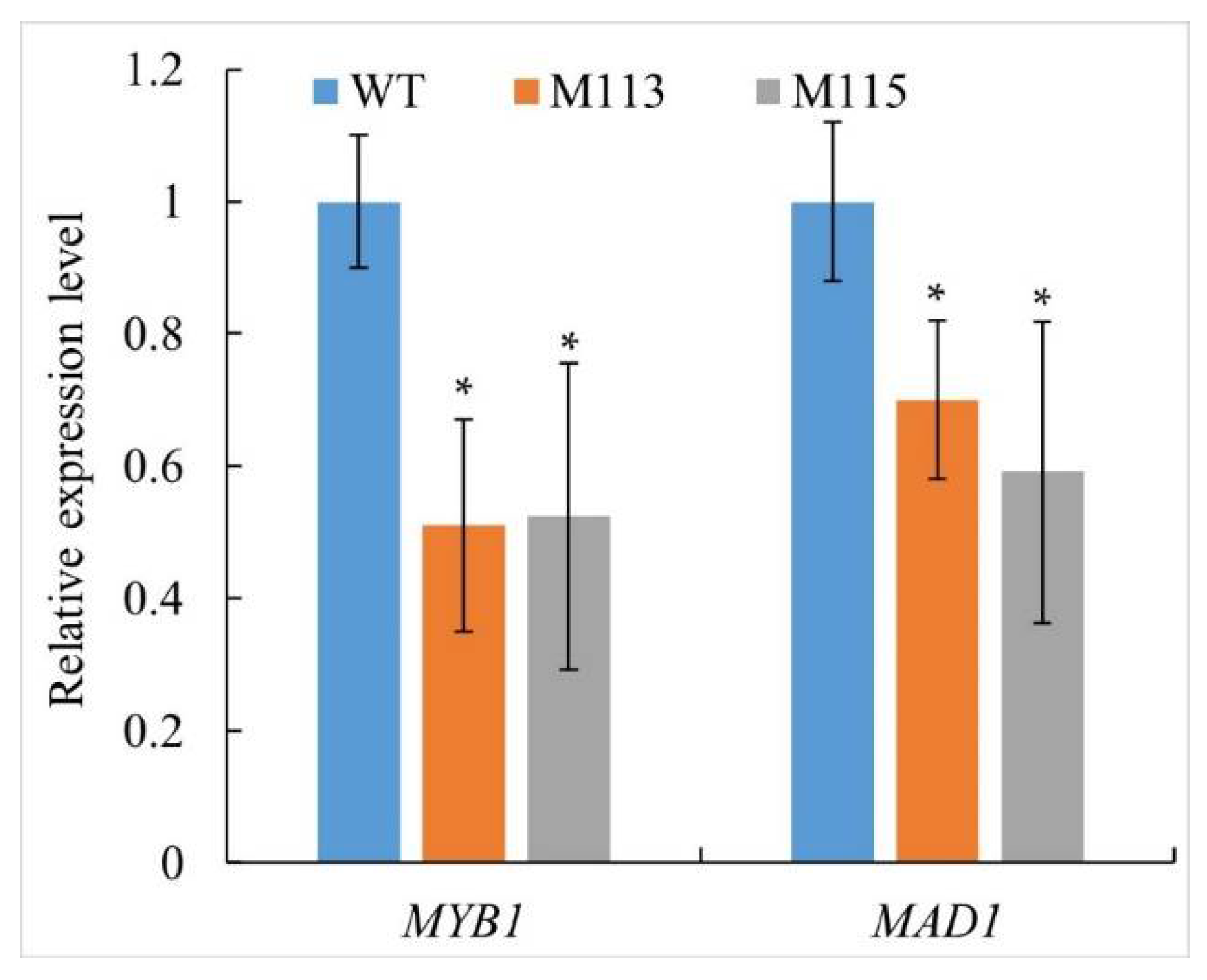 Ijms 22 03524 g005 Ijms 22 03524 g005